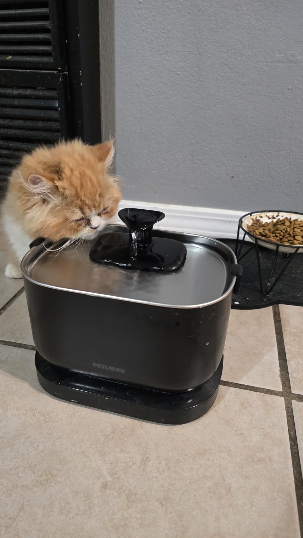 PETLIBRO Cat Water Fountain, Cordless Pet Water Fountain Battery Operated, 2.5L/84oz Dockstream Water Fountains for Cats Indoor, Cat Fountain with Stainless Steel Tray, Easy to Clean BPA-Free customer photo 1