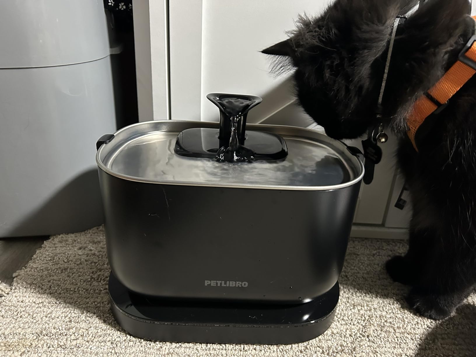 PETLIBRO Cat Water Fountain, Cordless Pet Water Fountain Battery Operated, 2.5L/84oz Dockstream Water Fountains for Cats Indoor, Cat Fountain with Stainless Steel Tray, Easy to Clean BPA-Free customer photo 2
