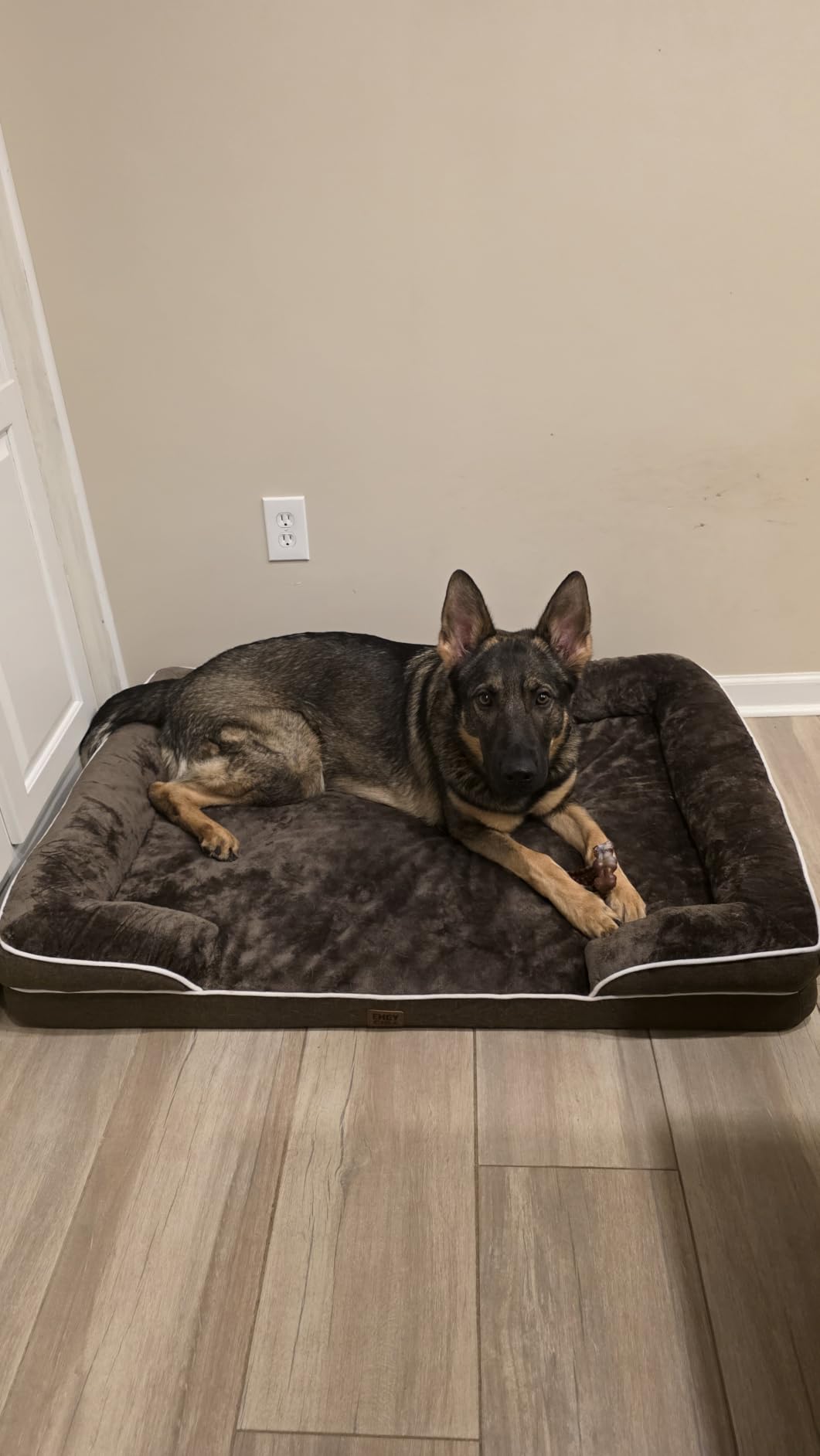 EHEYCIGA Orthopedic Dog Beds for Extra Large Dogs, Waterproof Memory Foam XL Dog Bed with Sides, Non-Slip Bottom and Egg-Crate Foam Big Pet Couch Bed with Washable Removable Cover, Camel customer photo 2
