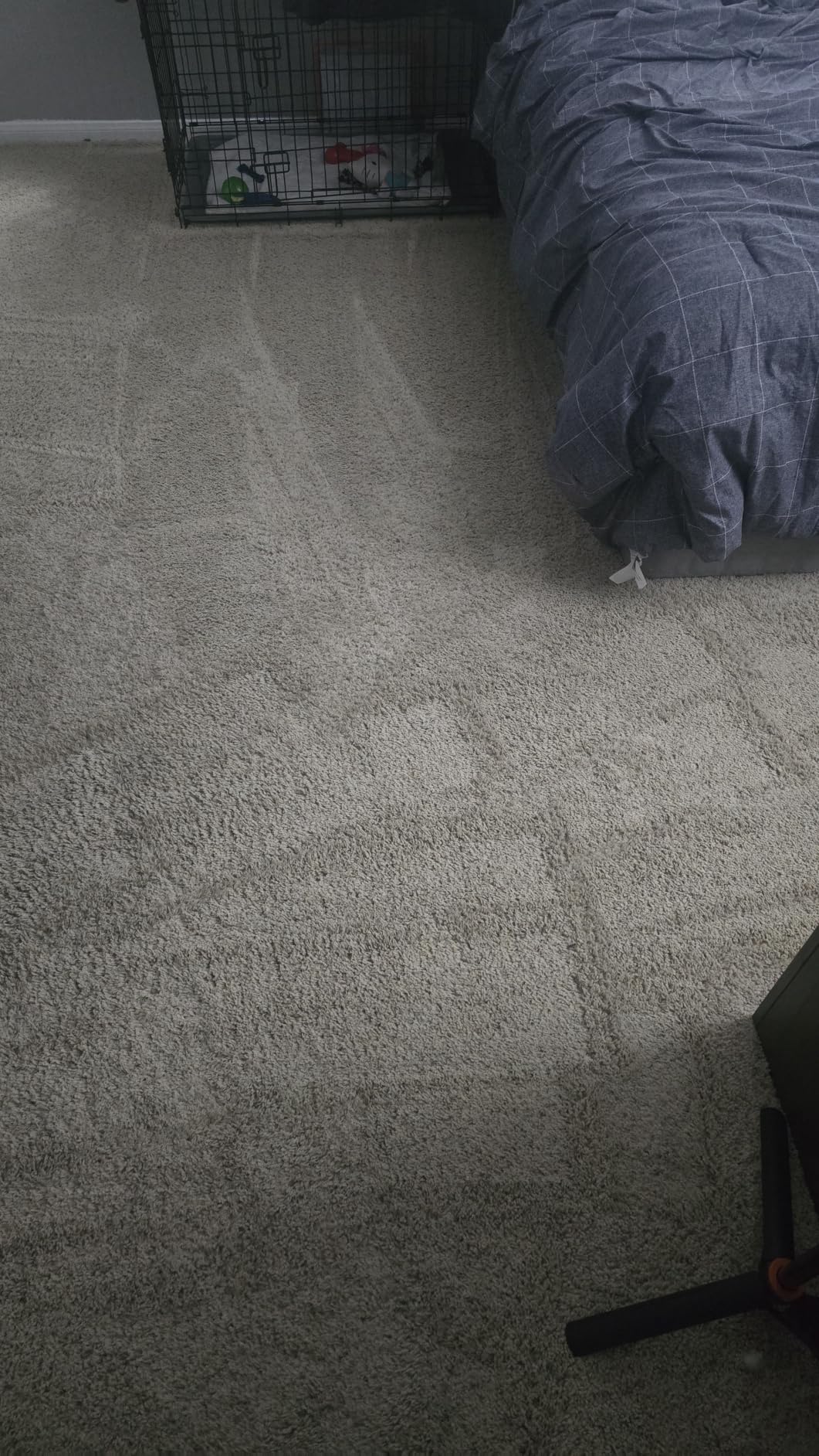 Hoover PowerDash Pet+ Compact Carpet Cleaner, Lightweight Carpet Shampooer customer photo 1