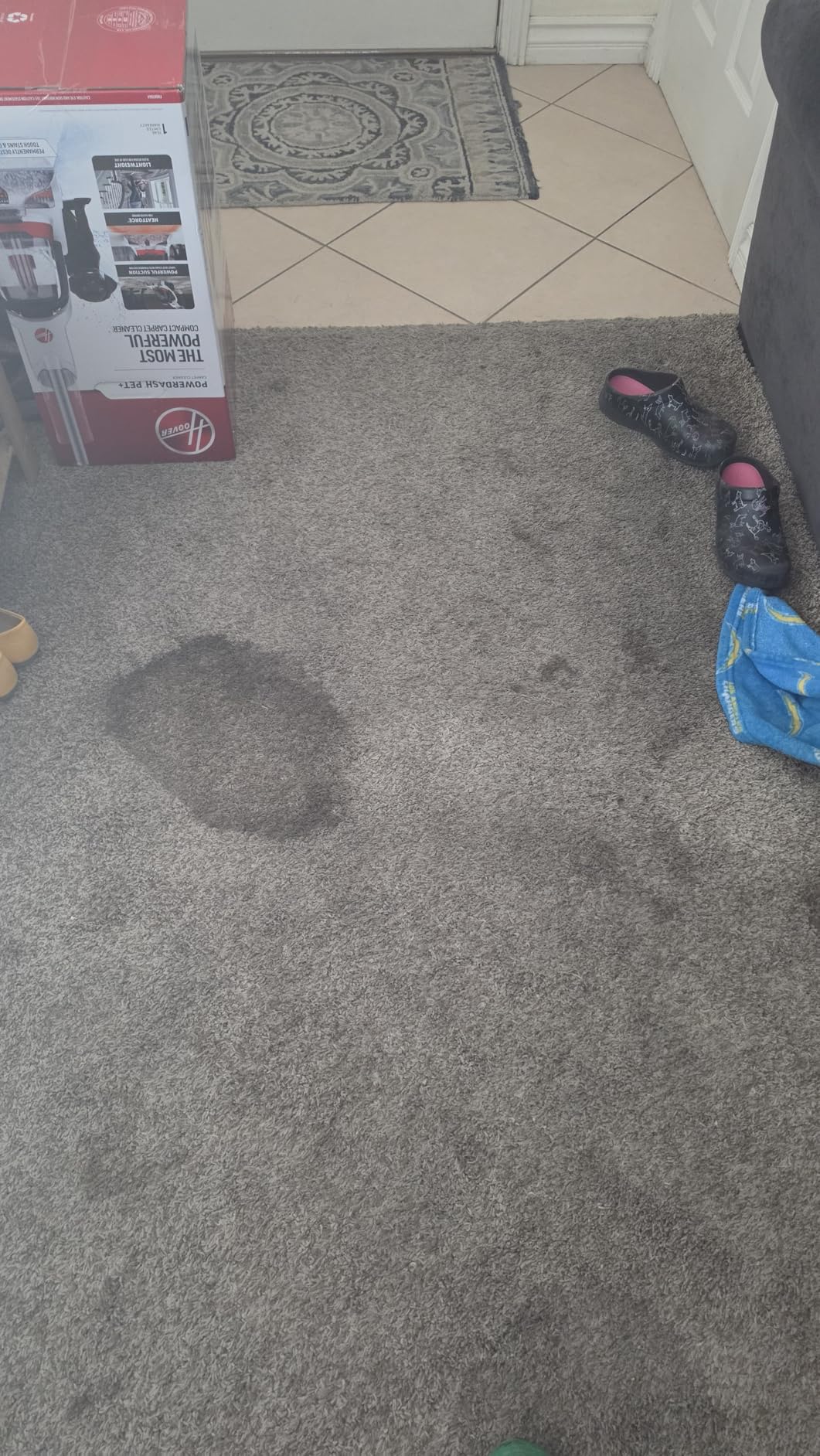 Hoover PowerDash Pet+ Compact Carpet Cleaner, Lightweight Carpet Shampooer customer photo 2