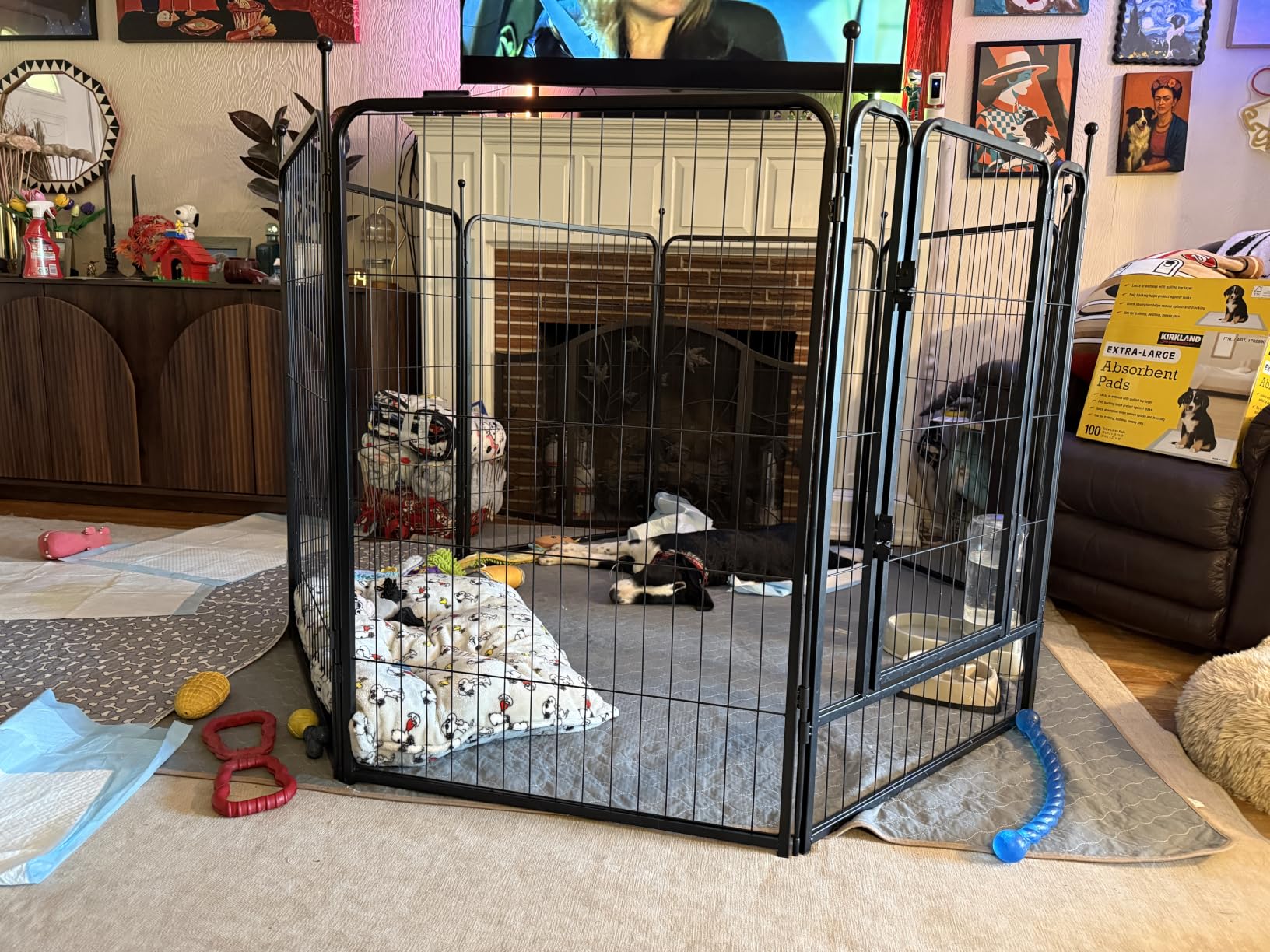 FXW Rollick Unleashed Dog Playpen for Indoor, Yard, RV Camping, 24 inch 8 Panels for Small and Puppy Dogs, Black│Patented customer photo 1