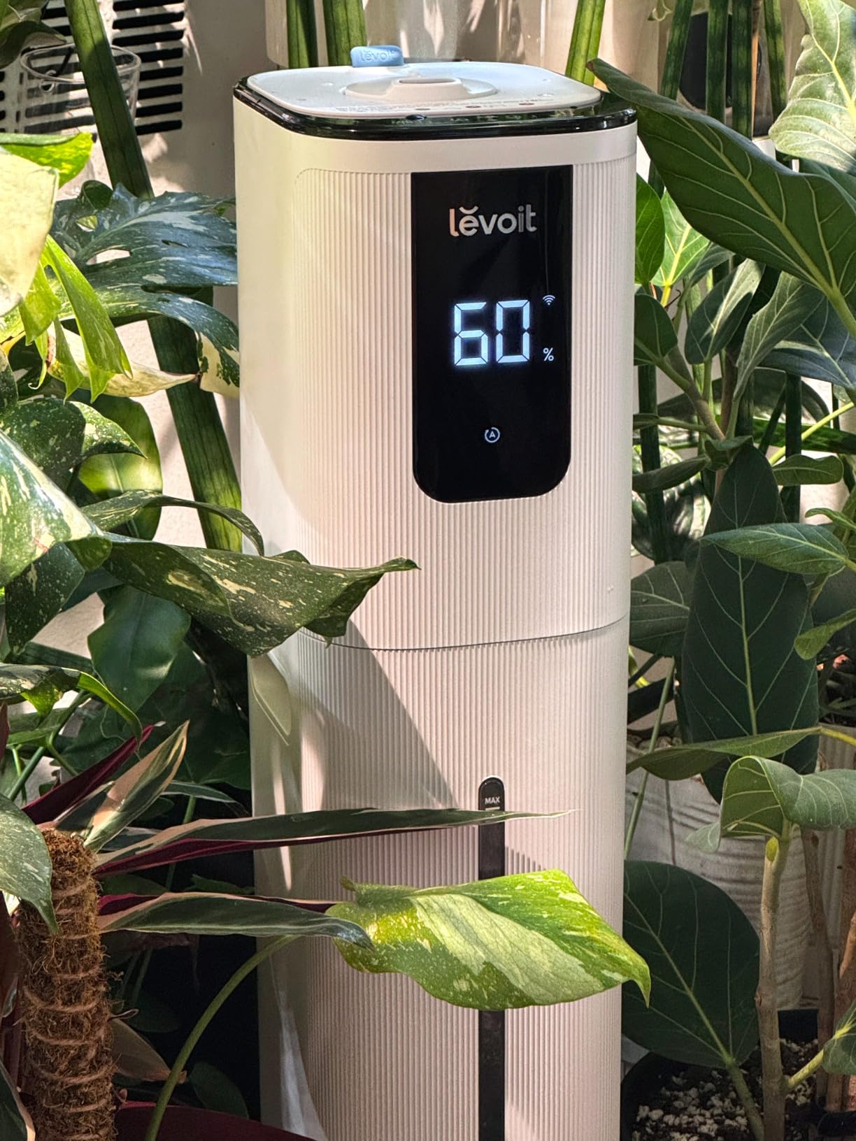 LEVOIT 6L Smart Warm and Cool Mist Humidifiers for Home Bedroom, 60H Runtime and Auto Customized Humidity for Large room, Schedule, Easy Top Fill, Essential Oil Diffuser, Whisper-Quiet, Handle, Black customer photo 1