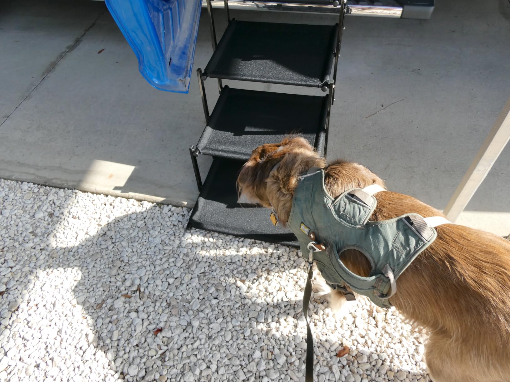 Extra Wide Dog Stairs for Large Dogs, Foldable Dog Ramp for Car with Non-Slip Surface, Lightweight Dog Stairs for Cars, Dog Steps for Cars, SUV, High Beds, Truck, Supports up to 250 lbs, 4 Steps customer photo 2