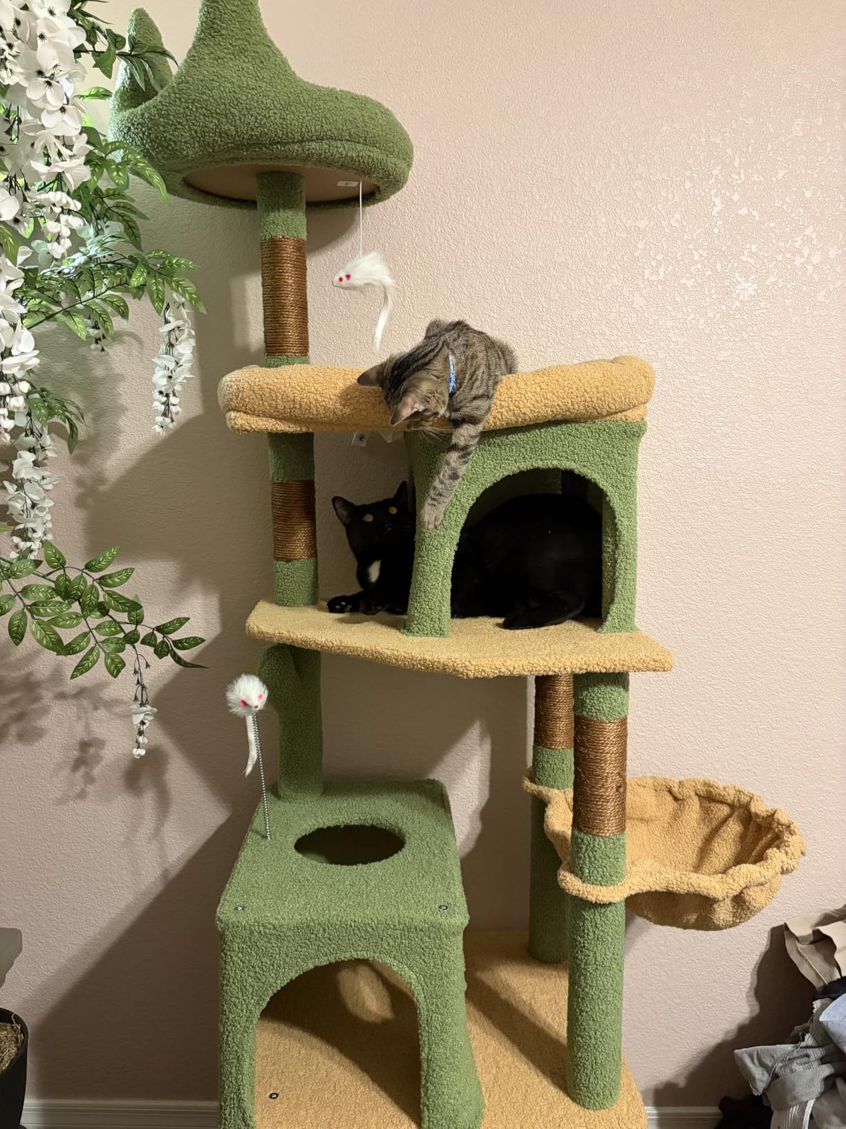 Globlazer Heavy Duty Cat Trees for Large Cats, Sturdy 72in Maine Coon Cat Tree for Large Cats 20 lbs+ Heavy Duty Cat Tower for Adult Biggest Cat with 6 Scratching Posts, Hammock, S72, Dark Gray customer photo 1