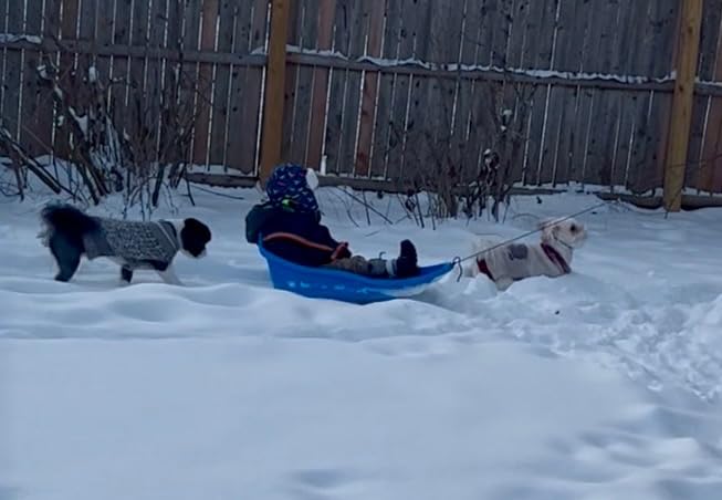 Snow Sled for Kids - ExploRide Sledge - Toboggan with Pull Rope and Safety Belt; Outdoor Plastic Winter Sleigh for Toddlers & Kids customer photo 2