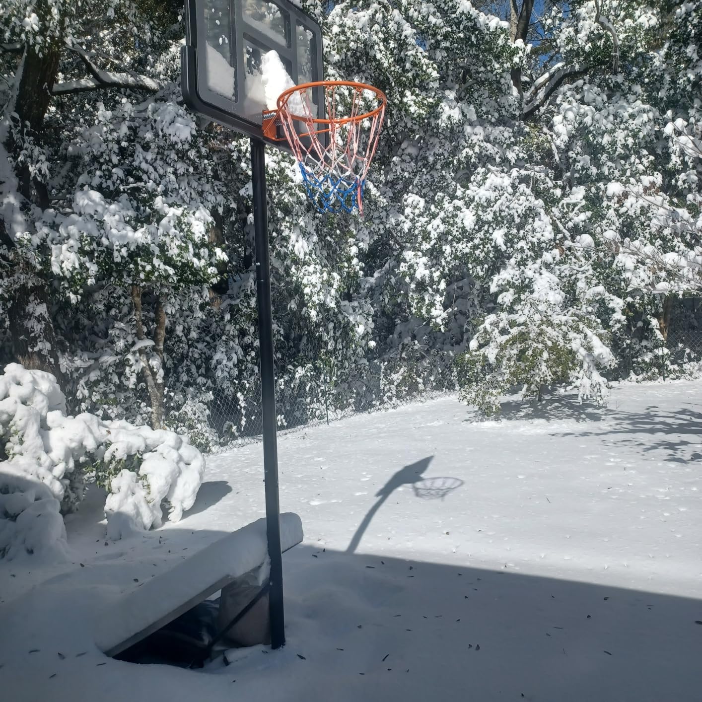 IGL Portable Basketball Hoop, 5.6-10FT Adjustable Basketball Goal System, 40/44 Inch Outdoor Basketball Hoop & Goals for Kids, Youth, and Adults in The Backyard, Driveway with PC Backboard customer photo 2