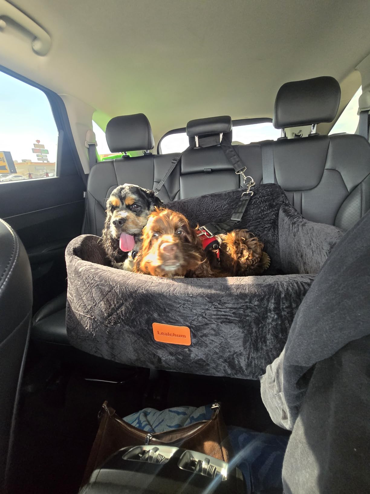 Lealchum Dog Car Seat for Large Size Dog, Soft Fabric Car Dog Bed Filling Memory Foam, 2 Clip-On Safety Leashs and 2 Pockets, Removable and Washable Comfy Pet Car Seat (Black/Brown, Large) customer photo 1
