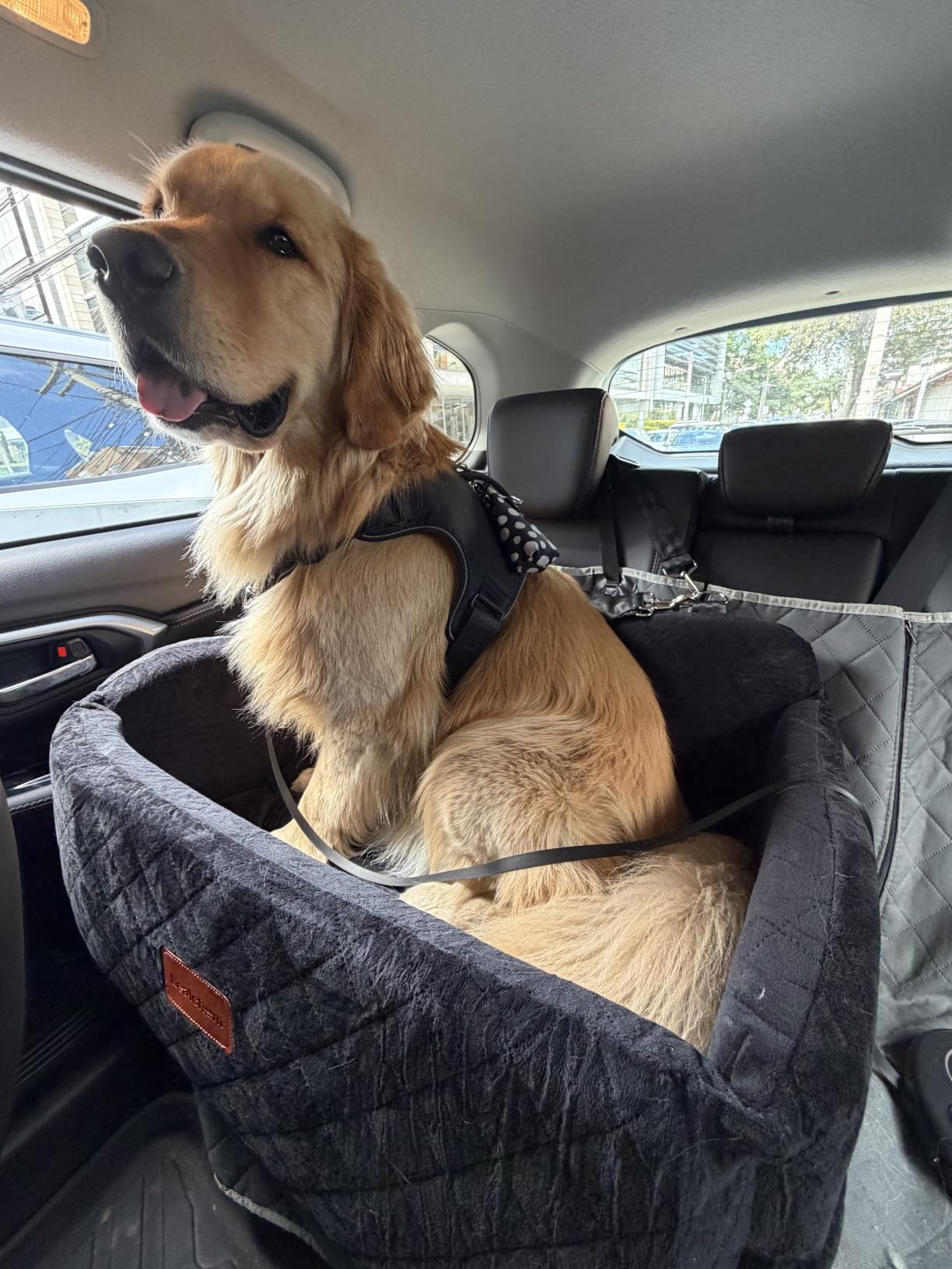Lealchum Dog Car Seat for Large Size Dog, Soft Fabric Car Dog Bed Filling Memory Foam, 2 Clip-On Safety Leashs and 2 Pockets, Removable and Washable Comfy Pet Car Seat (Black/Brown, Large) customer photo 2