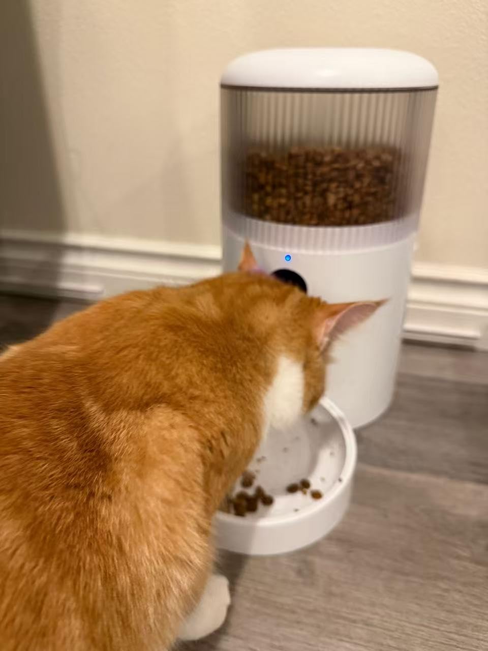 Automatic Cat Feeder with Camera, 3MP HD Video & Night Vision, 5G/2.4G WiFi Smart Pet Feeder with APP Control, 2-Way Audio, Motion Alerts, Low Food Sensor, Timed Cat Feeder for Cats & Dogs, 4L customer photo 1