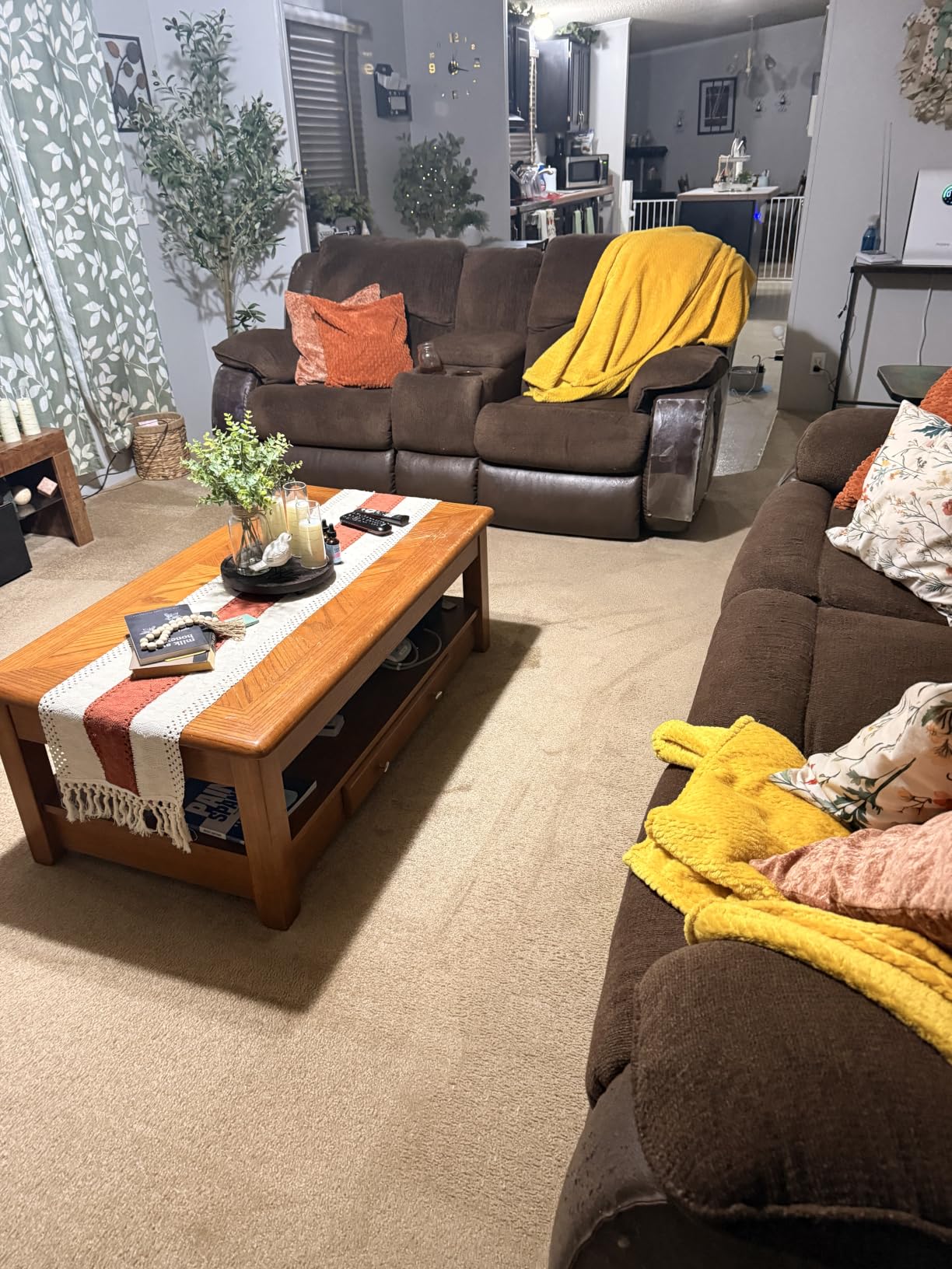Shark CarpetXpert | Upright Carpet, Area Rug & Upholstery Cleaner | Carpet Shampooer with Handheld Spot & Stain Eliminator | 3 Cleaning Tools | Slate Green | EX151 customer photo 2