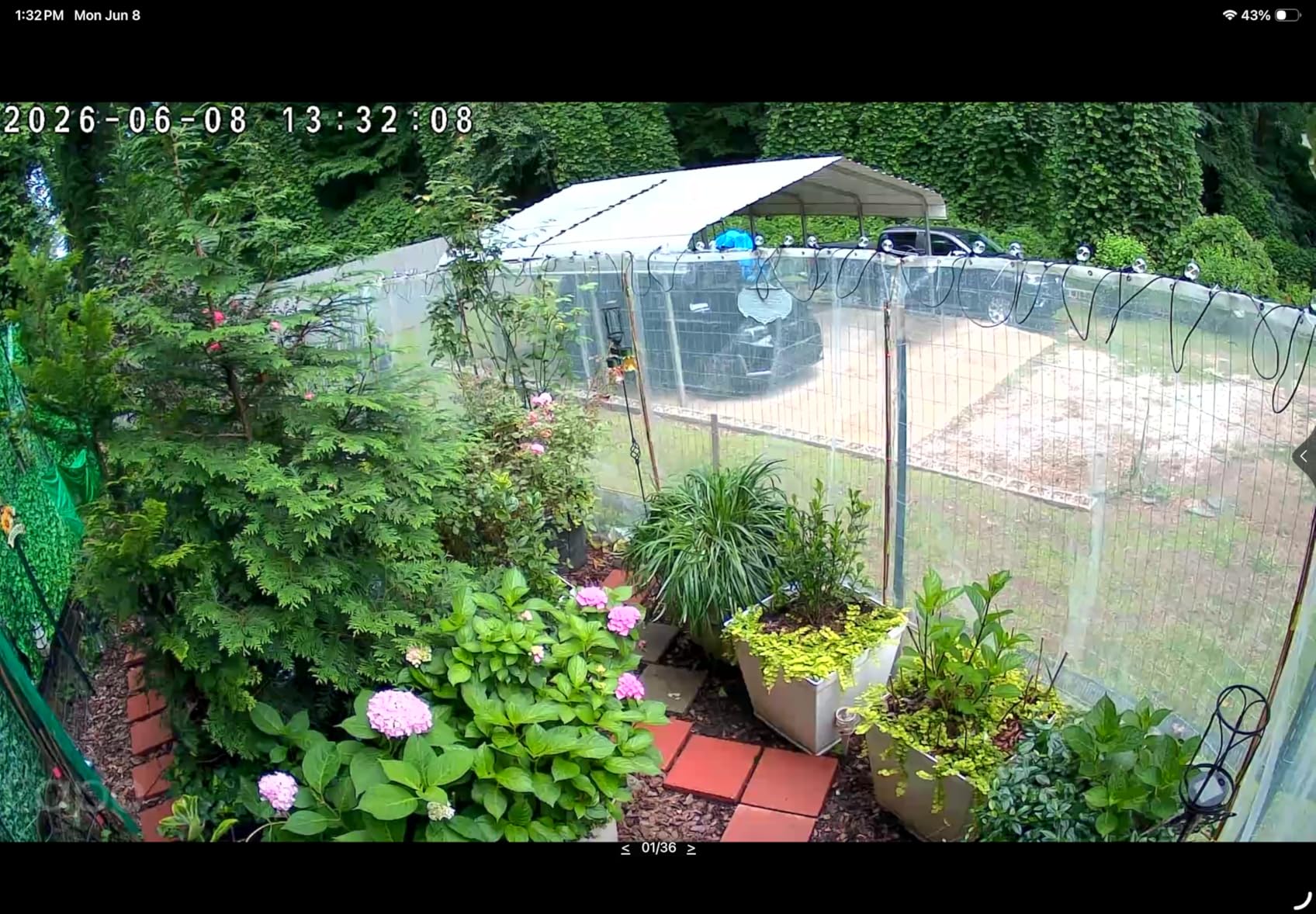 Tapo SolarCam 1080p Security Camera Wireless Outdoor- Battery Power with Solar customer photo 1