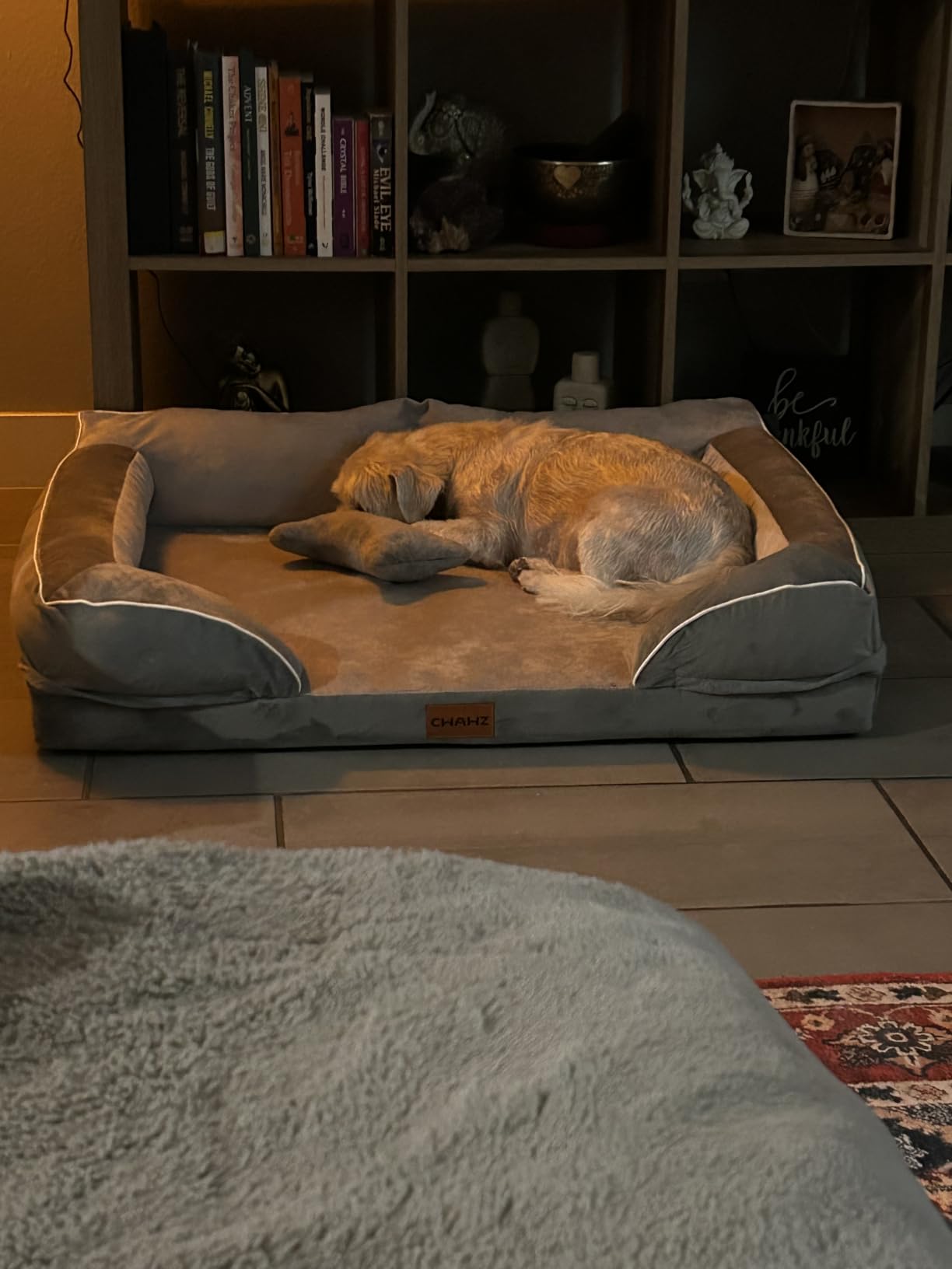 Extra Large Dog Bed, Orthopedic Dog Bed with Cooling Gel Memory Foam, Waterproof XL Pet Bed with Removable Washable Cover, 42