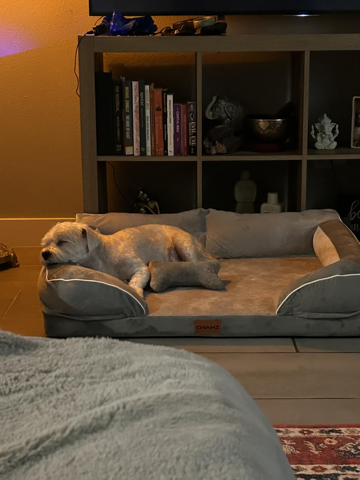 Extra Large Dog Bed, Orthopedic Dog Bed with Cooling Gel Memory Foam, Waterproof XL Pet Bed with Removable Washable Cover, 42