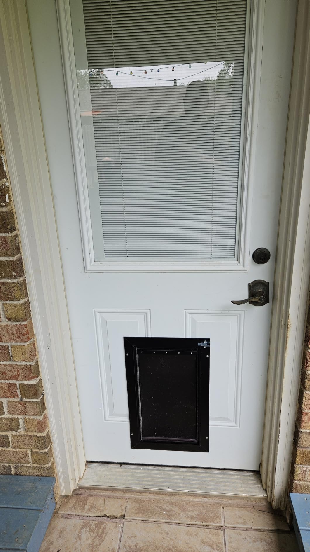 All Aluminum Dog Door for Exterior Door, Large Doggy Door, Heavy Duty Pet Door, Double Magnetic Flaps, Thermal Insulation, Energy Efficient, Sliding Lock Panel (Pets Up to 110Lb) customer photo 1