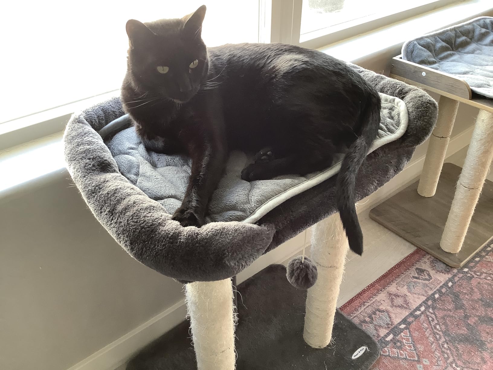 Cat Tree, Cat Scratching Posts with Large Bed for Big Cats | Small Cat Tower, 28