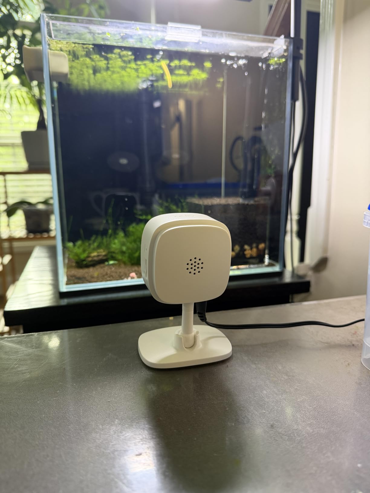 Tapo 1080P Indoor Wired Security Camera - Works as a Baby Monitor & Pet Camera, Motion Detection, 2-Way Audio, Siren, Night Vision, Subscription-Free Local Storage or Optional Cloud, C101 customer photo 1