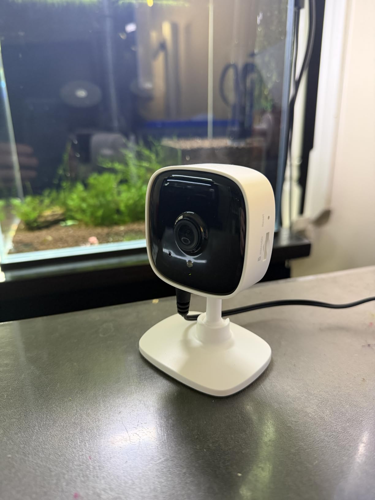 Tapo 1080P Indoor Wired Security Camera - Works as a Baby Monitor & Pet Camera, Motion Detection, 2-Way Audio, Siren, Night Vision, Subscription-Free Local Storage or Optional Cloud, C101 customer photo 2