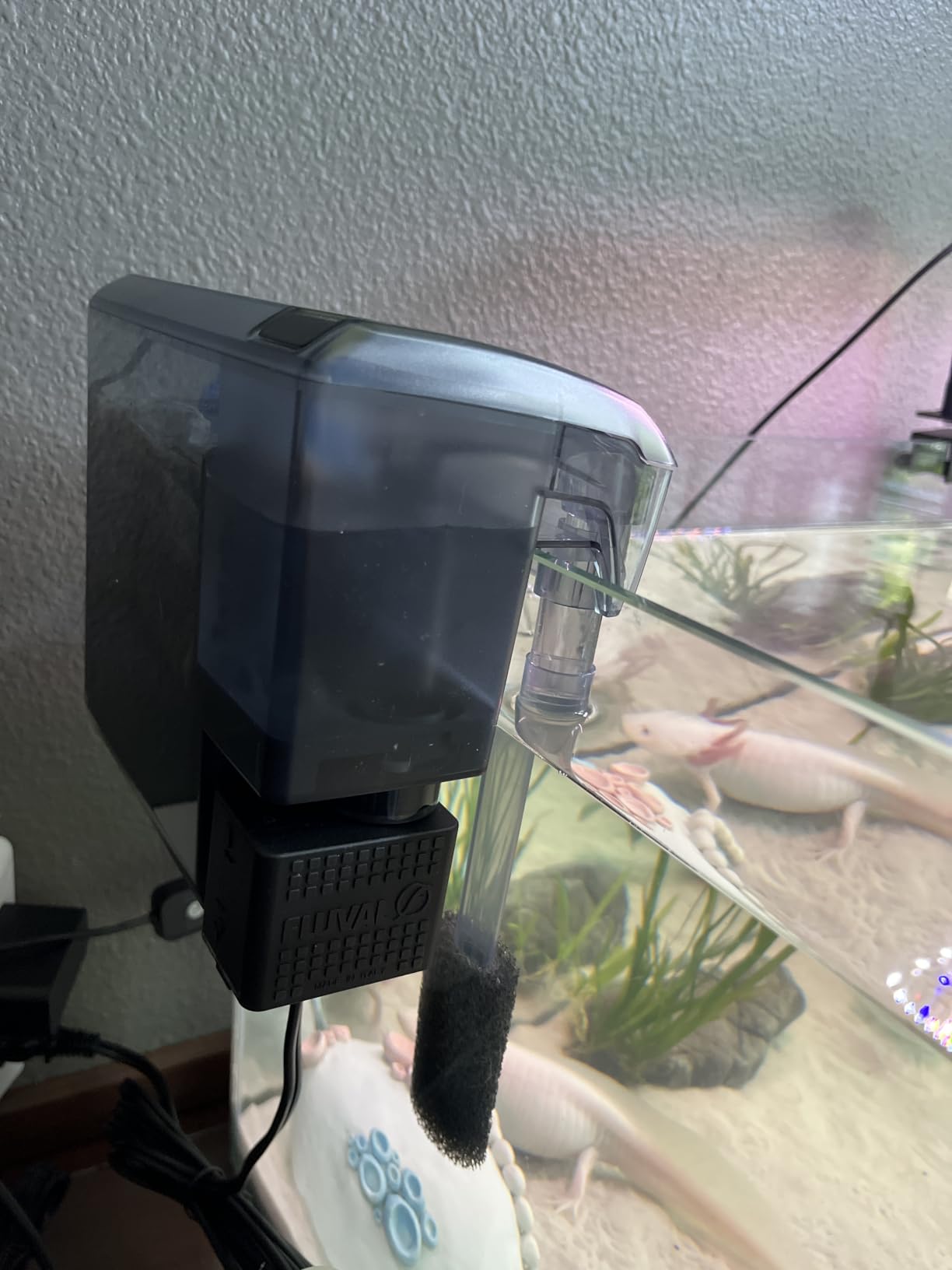 AC50 Power Filter, 20-50 US Gal / 76-190 L - Fluval USA (fluvalaquatics.com) customer photo 1