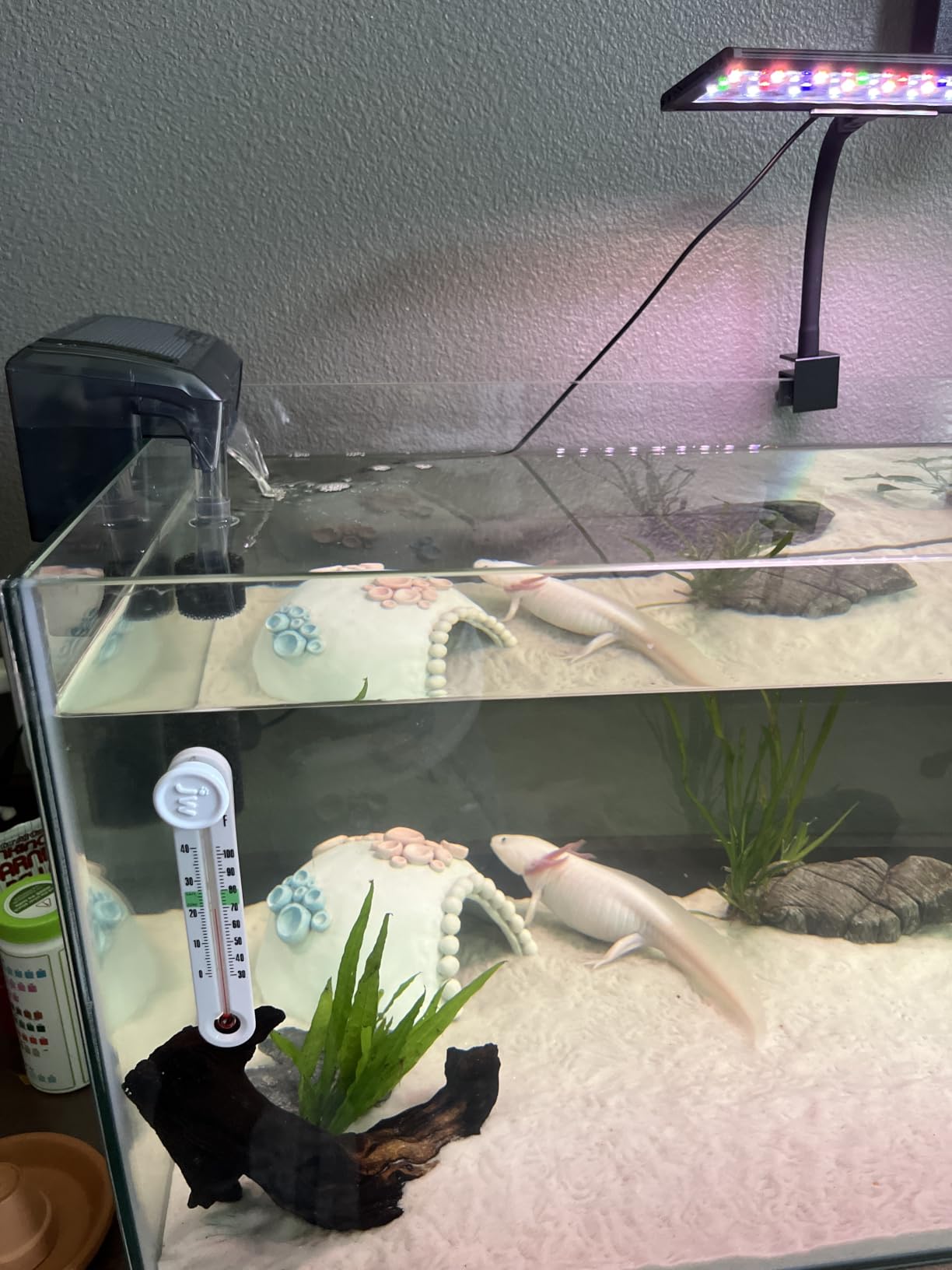 AC50 Power Filter, 20-50 US Gal / 76-190 L - Fluval USA (fluvalaquatics.com) customer photo 2