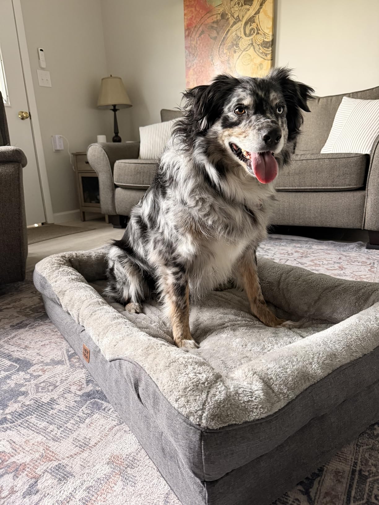 EHEYCIGA Orthopedic XL Dog Bed for Large Dog, Memory Foam Dog Couch, Grey | 42x30 Inch Extra Large Sized Dog Sofa with Sides, Waterproof Liner & Washable Removable Cover, Bolster Pet Couch customer photo 1