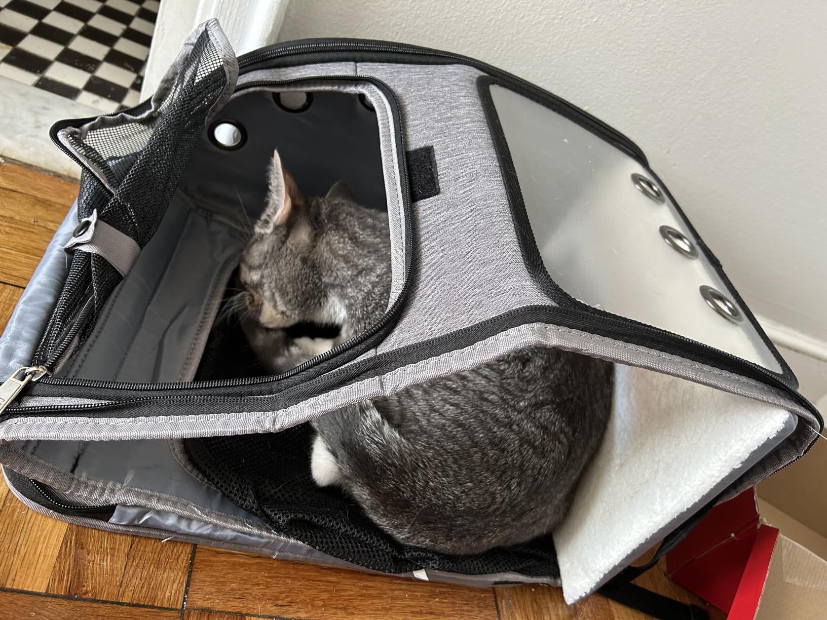 Expandable Cat Backpack Carrier, Large Space, Airline Approved, XL | Pet Carrier Backpack Up to 25 lbs, Portable Cat Travel Backpack, Ideal for Traveling/Hiking/Camping/Vet, Black customer photo 1