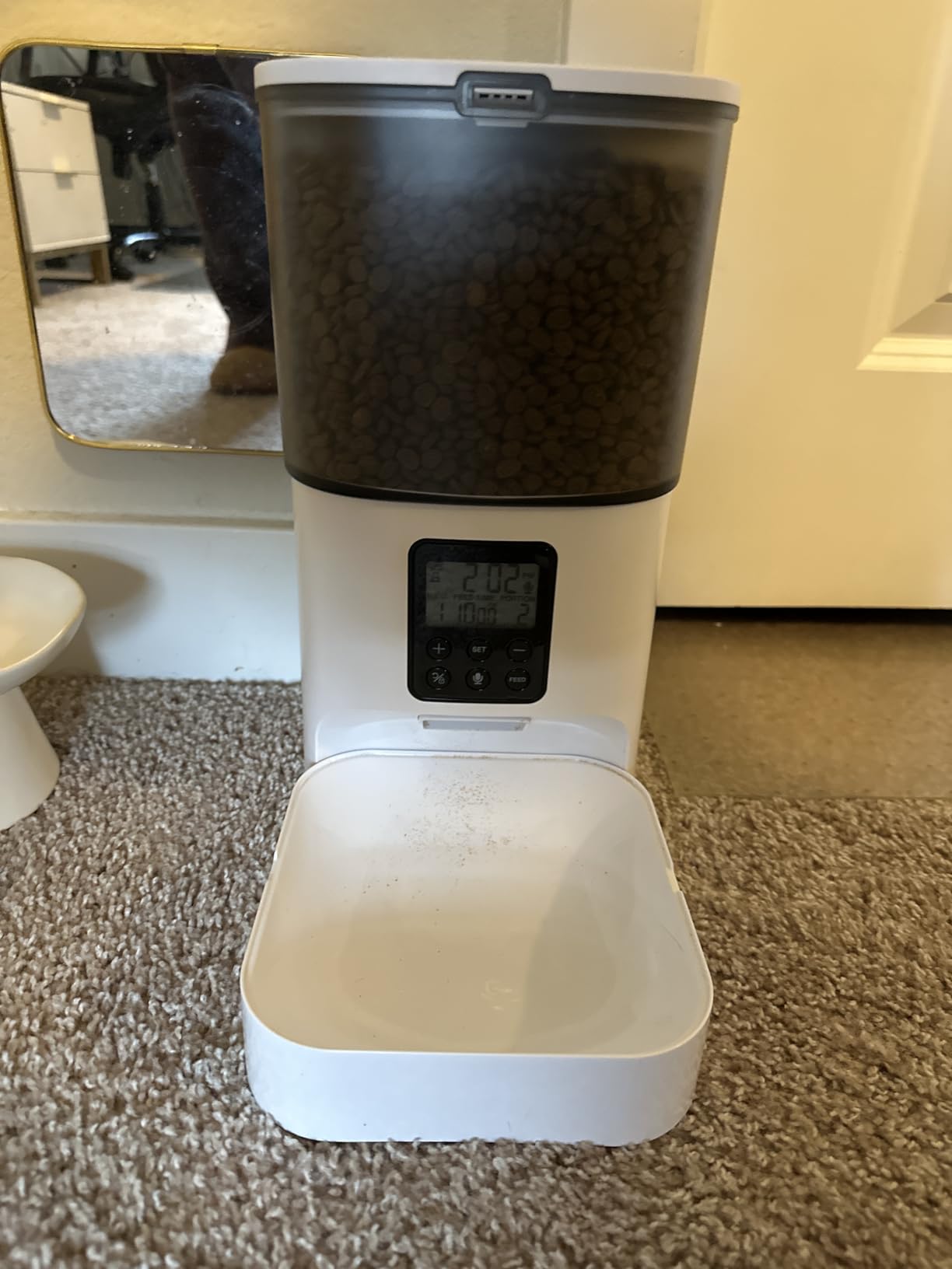 ANDOLL HOME Automatic Cat Feeder, 4L Cat Food Dispenser with 10s Voice Recorder, Pet Feeder up to 8 Meals per Day, Timed Dog Feeder with Dry Food Sealed Ring customer photo 2