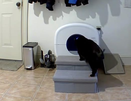 Cumrige Self Cleaning Litter Box, Large Capacity Automatic Cat Litter Box Self Cleaning for Cats, App Control, Safety Protection customer photo 1