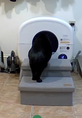 Cumrige Self Cleaning Litter Box, Large Capacity Automatic Cat Litter Box Self Cleaning for Cats, App Control, Safety Protection customer photo 2