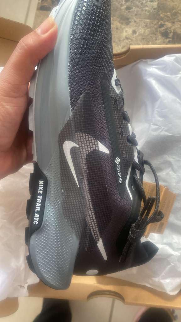 Nike Mens Pegasus Trail 5 Gore-tex customer photo 1