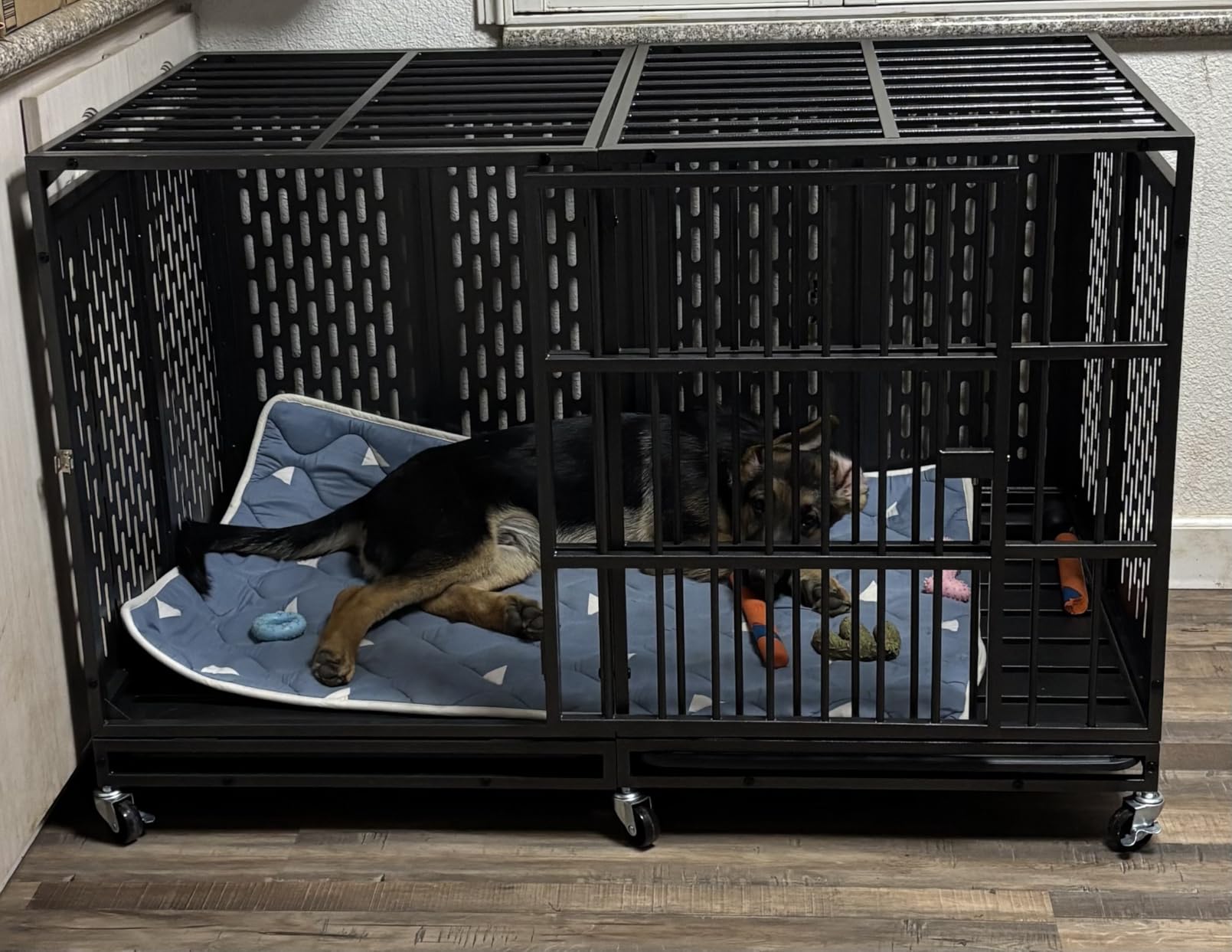 Snuowu 38 Inch Heavy Duty Dog Crate with Wheels, Folding Metal Big Dog Cage for Large and Medium Dogs, Extra Large XL XXL Indestructible Dog Crate with Removable Tray customer photo 2