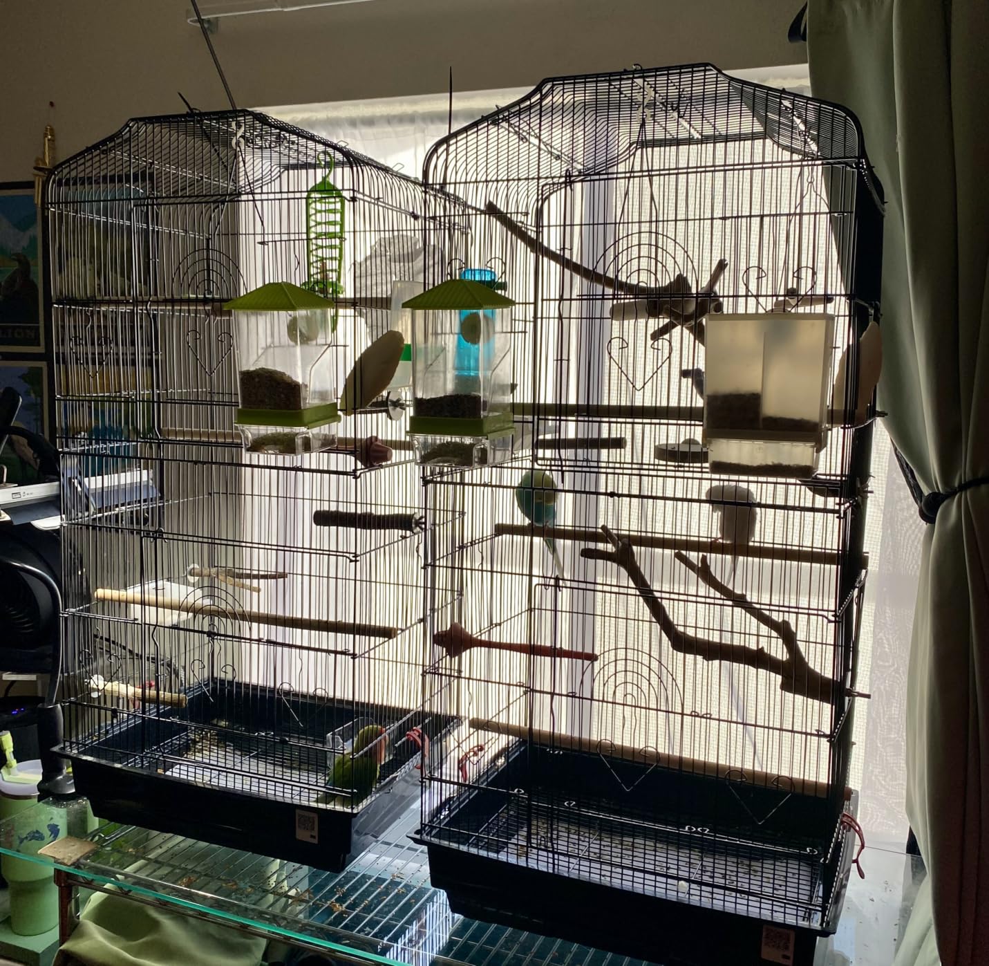 VEVOR 41-inch Open Top Large Parrot Bird Cage, Hanging Bird Cage for Parakeets Finches Canaries Lovebirds Cockatiels Budgies Small Quaker Conures Travel Pet Flight Birdcage with Swing and Perch customer photo 1