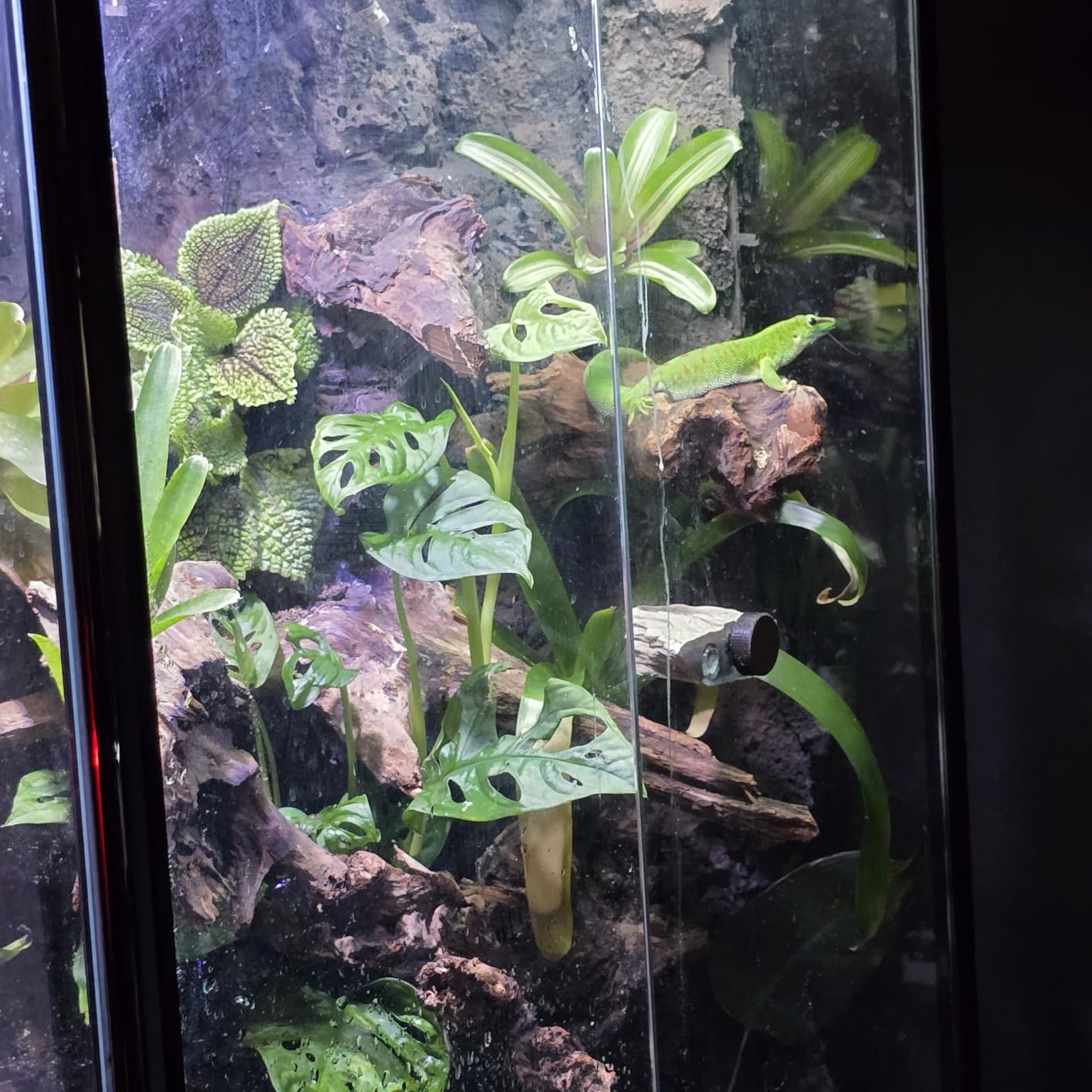 Herture 120 Gallon Reptile Tank Stand, 4x2x2 Reptile Enclosure Stand, with Storage Cabinet and Power Outlet, for Bearded Dragons, Snakes, Lizard Terrarium customer photo 1