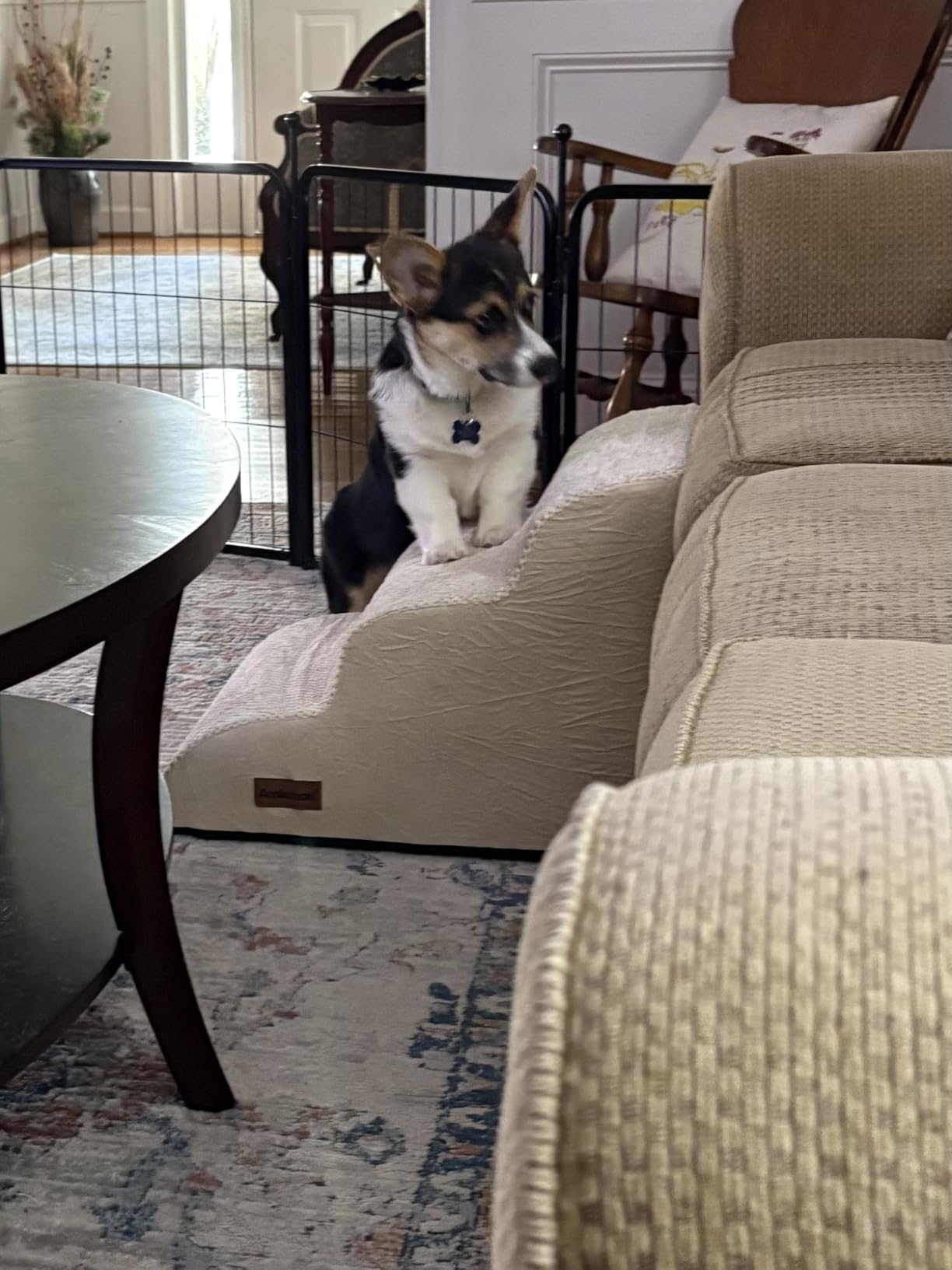 Aodisman Dog Stairs for Small Dogs, 3 Step Dog Ramp for Couch, Non-Slip Steps | Pet stairs help small dogs, old cats, and puppies reach couches and chairs easily, durable indoor dog steps, 15.4