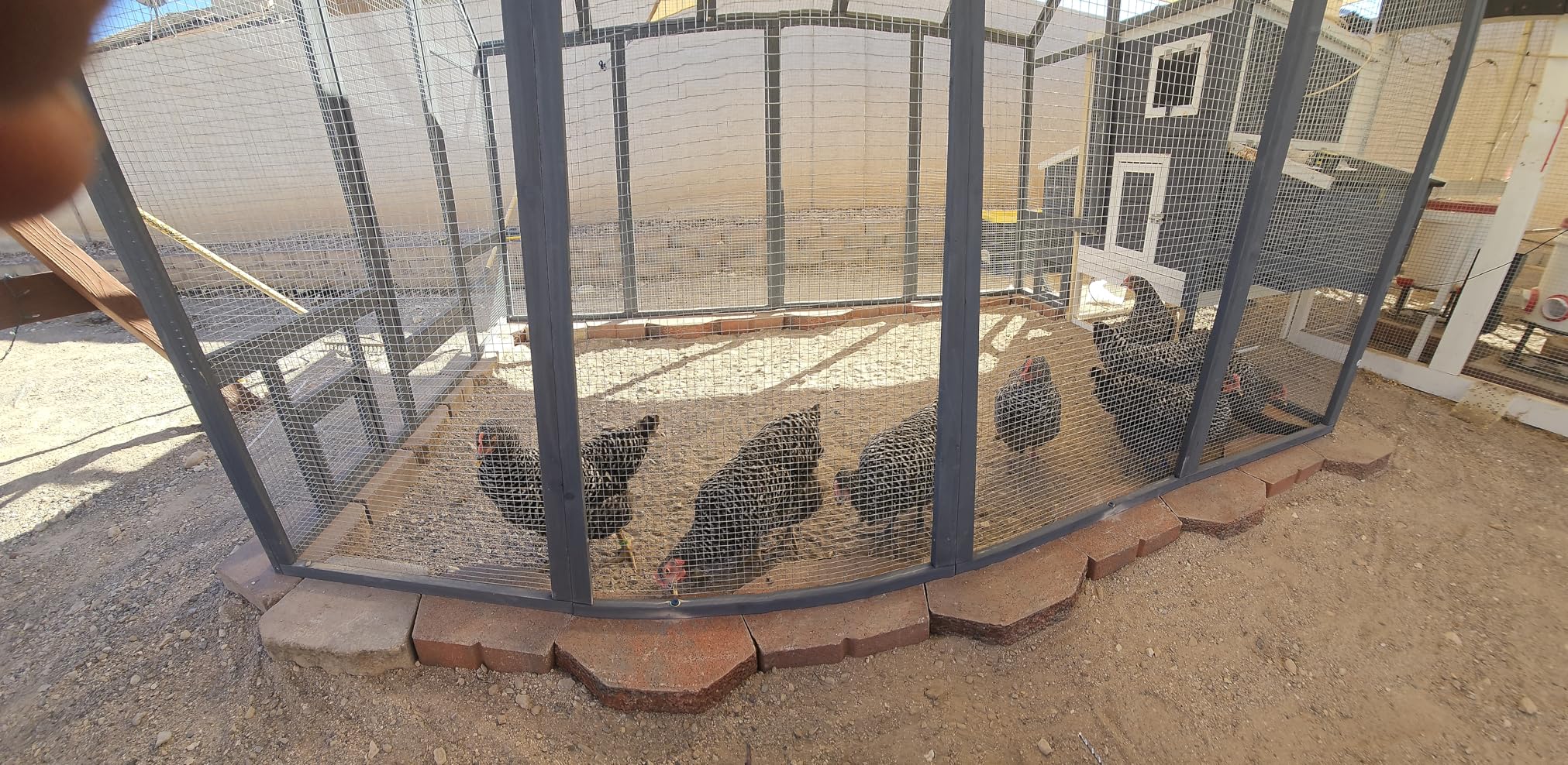 Large Wood Chicken Coop with Nesting Box, Wooden Chicken Coop with Run, Outdoor Walk-in Poultry Cage with Weatherproof Cover, Chicken House for Outside Farm Backyard customer photo 2