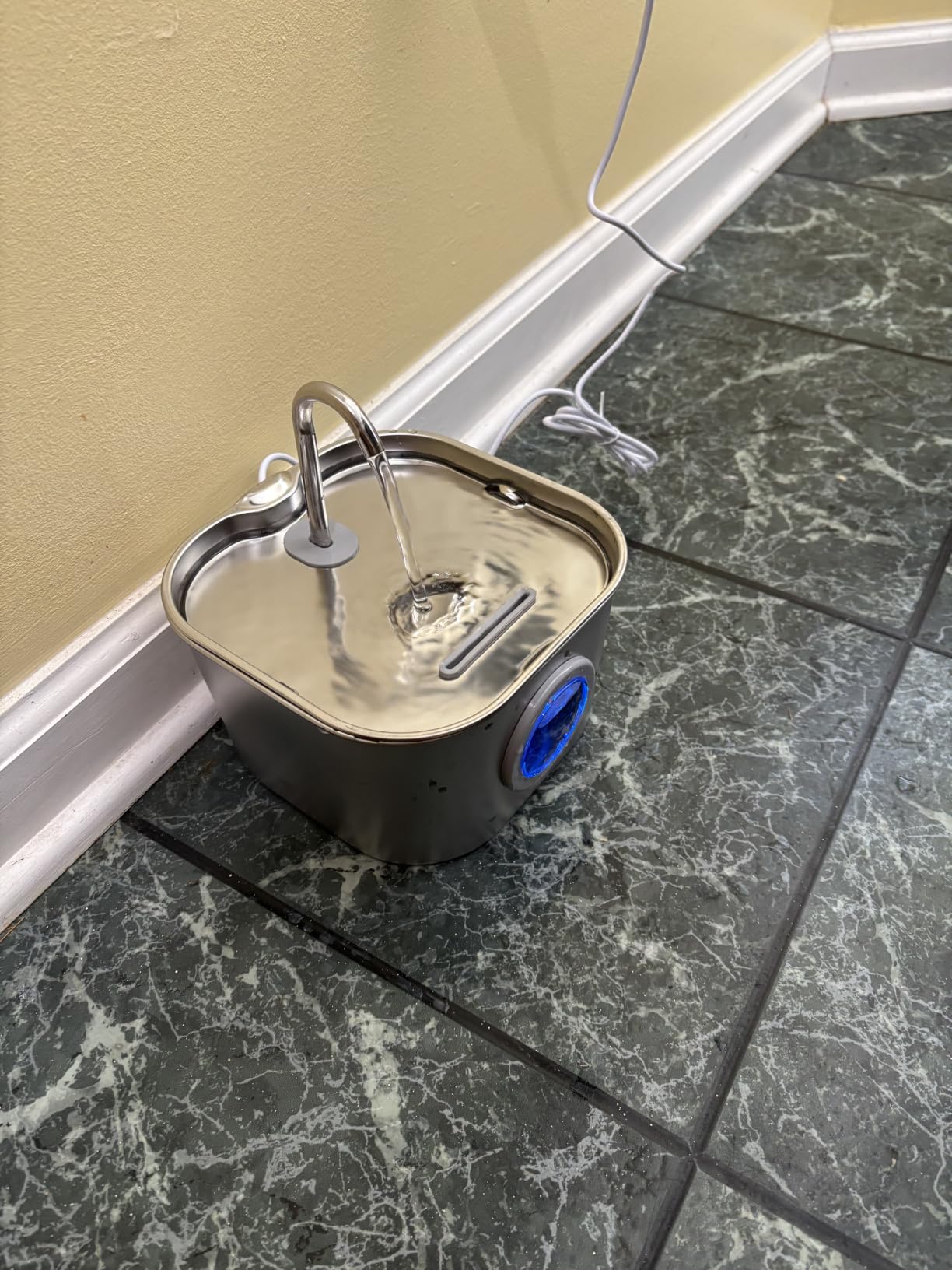 Cat Water Fountain Stainless Steel: Pet Fountains for Cats/Dog Indoor Automatic Waterer Bowls for Drinking Small Animal Water Dispenser Metal Pets Watering Faucet Bottle Auto Kitty Watering Supplies customer photo 1