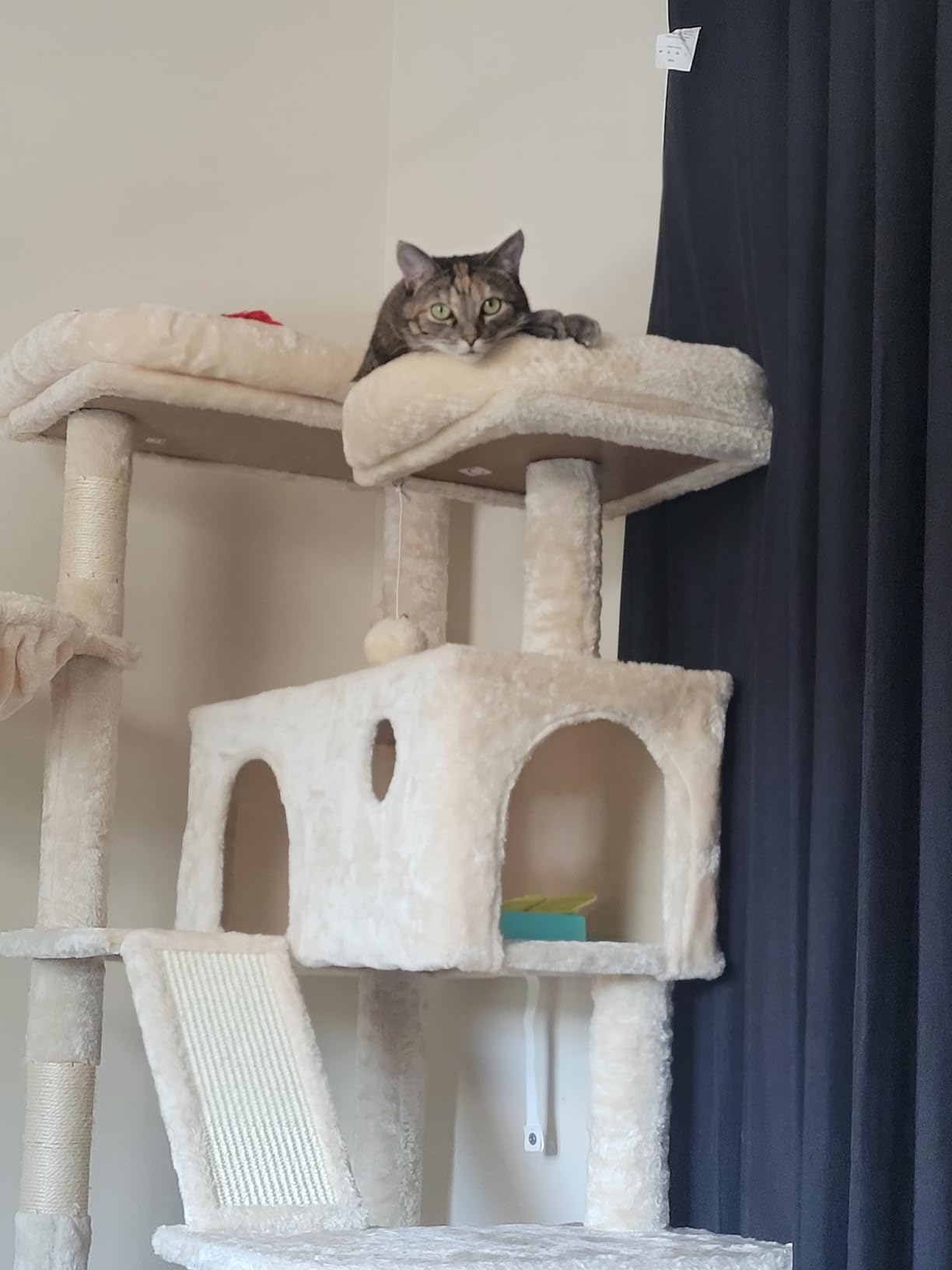 SHA CERLIN 81in Multi-Level Tall Cat Tree Tower for Indoor Kitties/Larger Cat Condo Furniture with Hammock/Cozy Pussycat Perches/Sisal Scratching Posts/Pet House/Wide Base/Beige customer photo 2