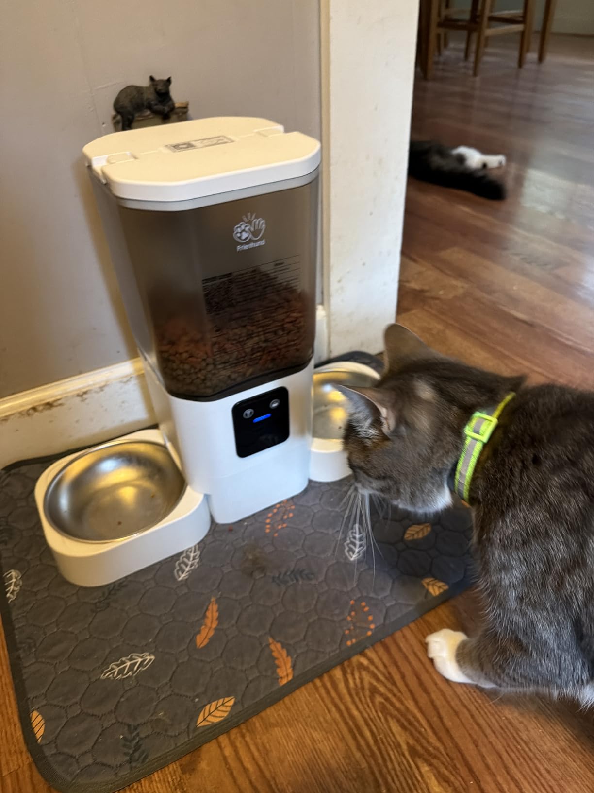 Frienhund Automatic Cat Feeders 2 Cat with Slow Feed: 7L Dual Automatic Dog Feeder with 5G WiFi, Double Auto cat Food Dispenser for Multiple Pets, Detachable for Easy Clean - 29 Cup (ACF190W-B) customer photo 2