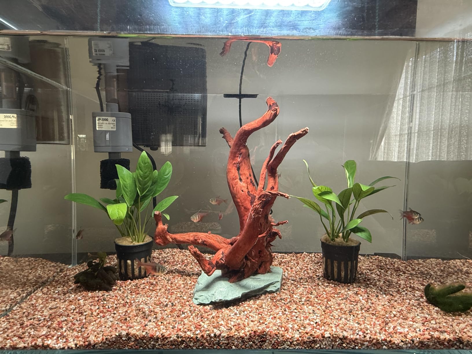 Vimvins 10 Gallon Glass Small Fish Tank with Filter Light and Lid, Aquarium Starter Kit customer photo 2