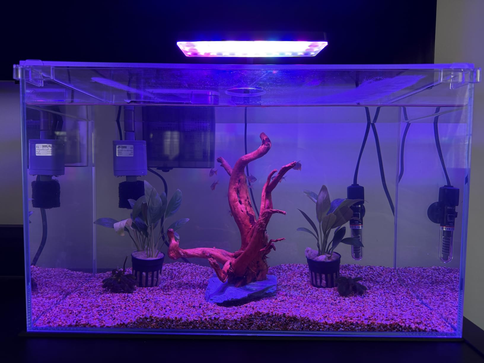 3 Gallon Glass Small Fish Tank, Betta Fish Tank Starter Kit with Filter, Lights, Lid customer photo 2