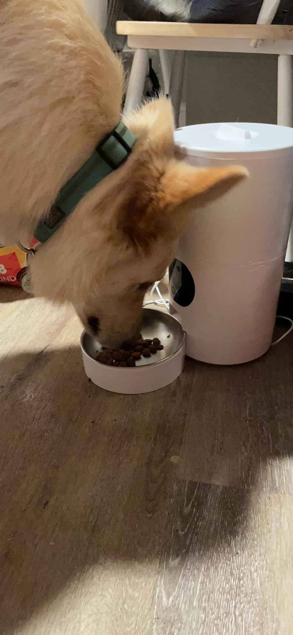 Automatic Dog Feeder Large Breed with Camera - 12L/50 Cups Anti-Clog Dog Food Dispenser for Kibble up to 20mm/0.78 in - WiFi App Scheduling & HD 1080P Camera for Remote Mealtime Check-Ins by Yakry customer photo 1