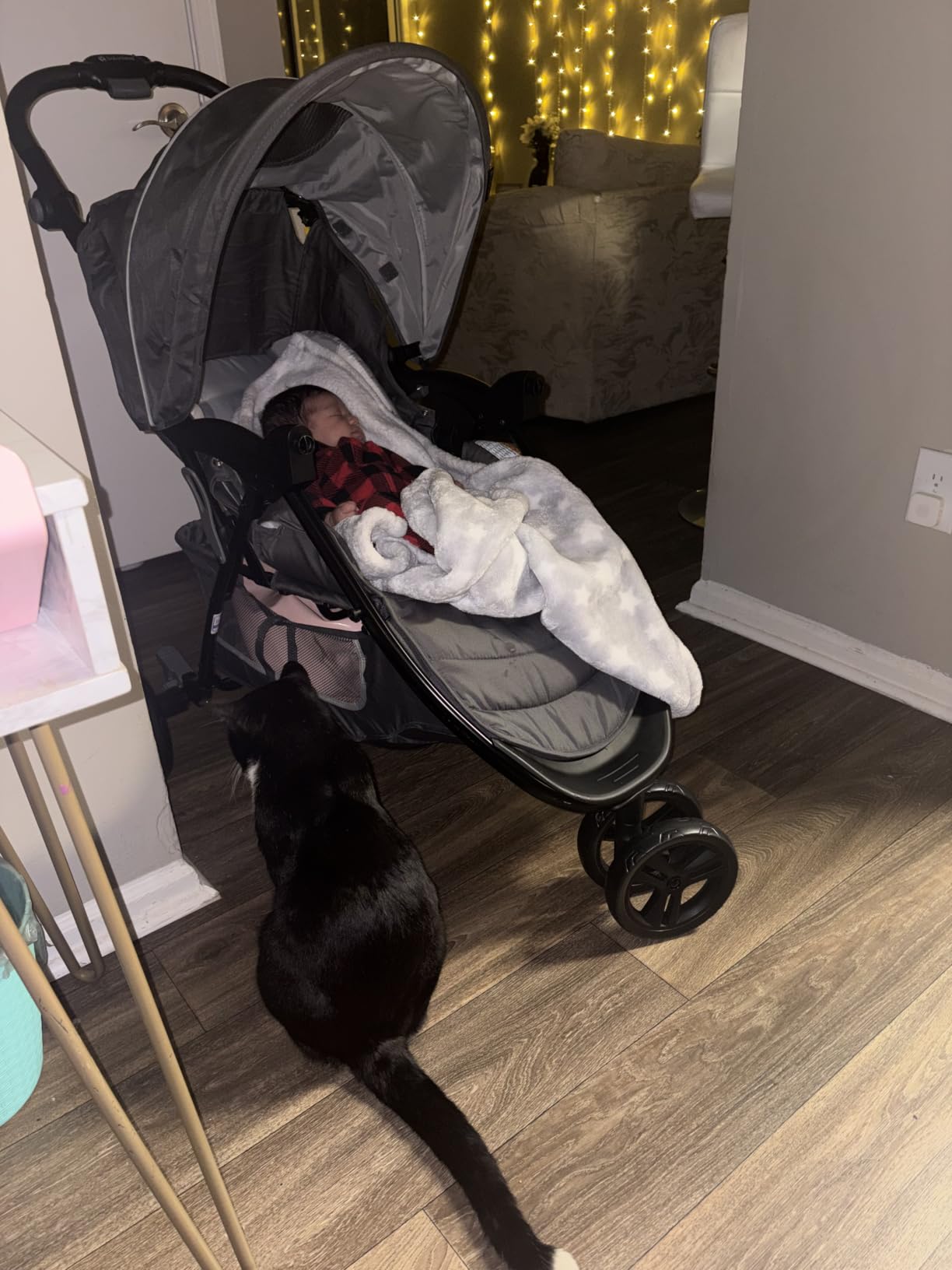 Baby Trend EZ Ride SE Travel System with Secure-Lift Infant Car Seat, Dash Sage customer photo 1