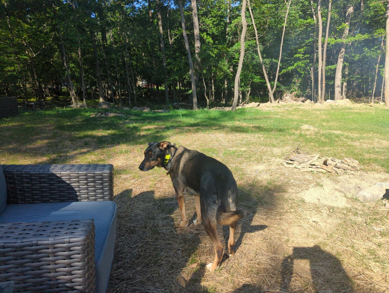 Dogtra GPS Fence - No Subscription, Custom Wireless Dog Fence with App, Smart Guidance & Return Reminder Tone/Vibration/Correction, IPX9K Waterproof Rechargeable Collar, Safe Freedom for Dogs 15 Lbs+ customer photo 2