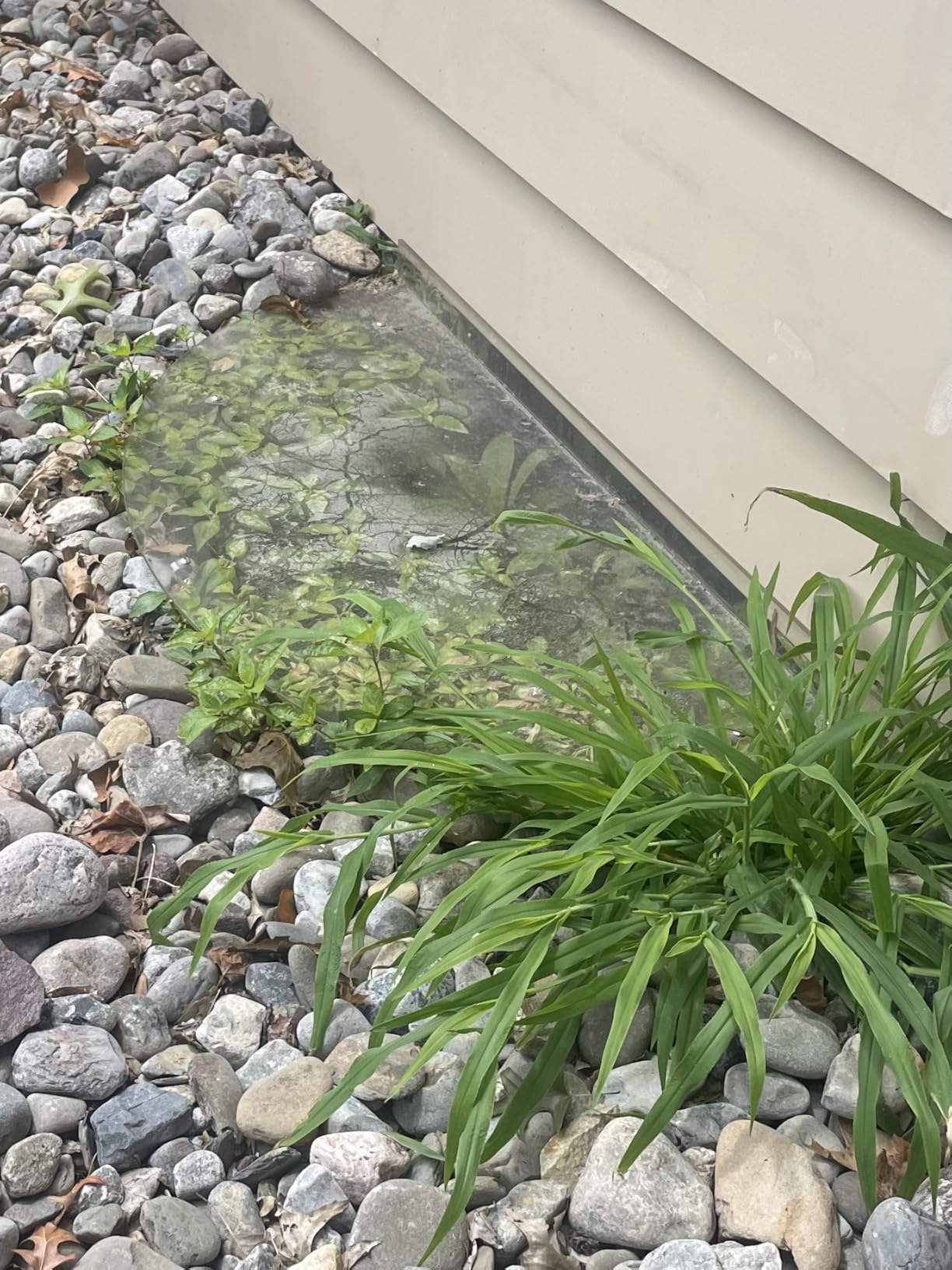 Clear Window Well Covers Outside 40