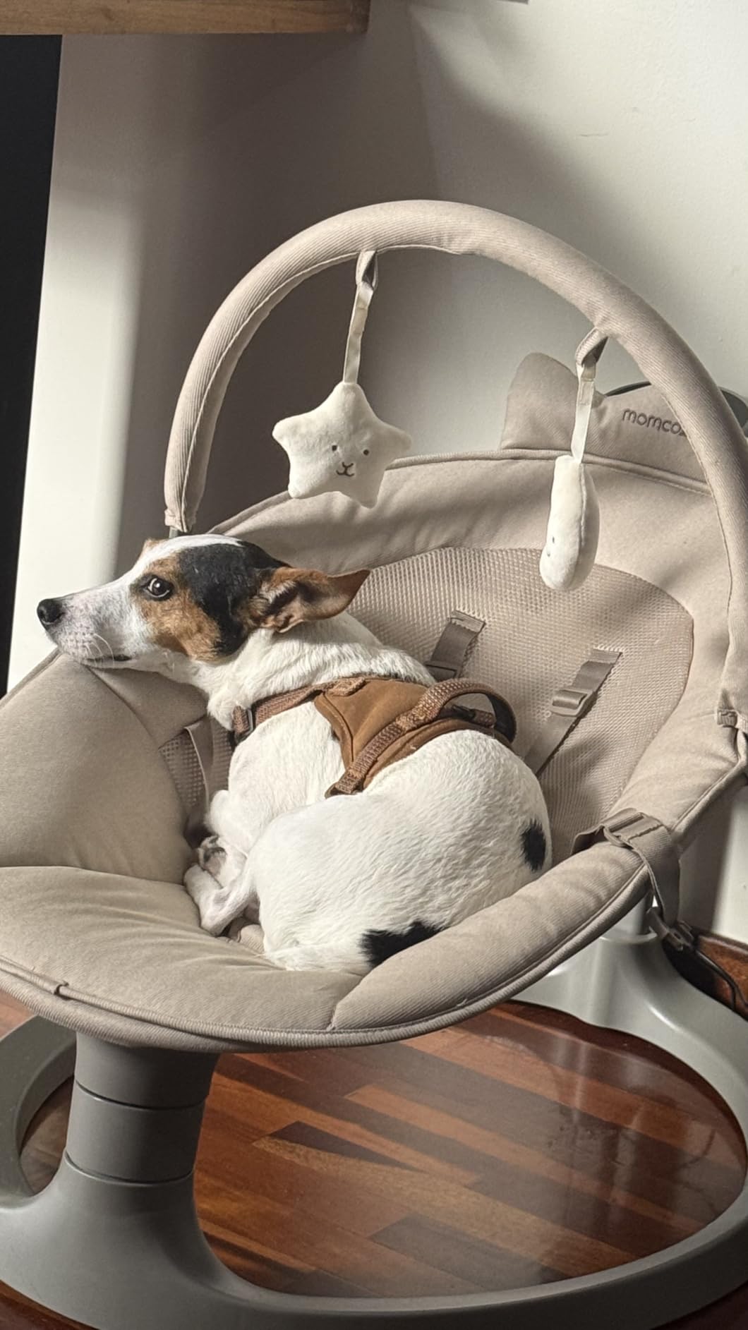 Momcozy 2-in-1 Electric Baby Swing, Dual-Arm Support System, Khaki | Parent-Inspired Motions, Converts to a Toddler Seat up to 66 lbs, with Adjustable Height and a Lightweight Design customer photo 1