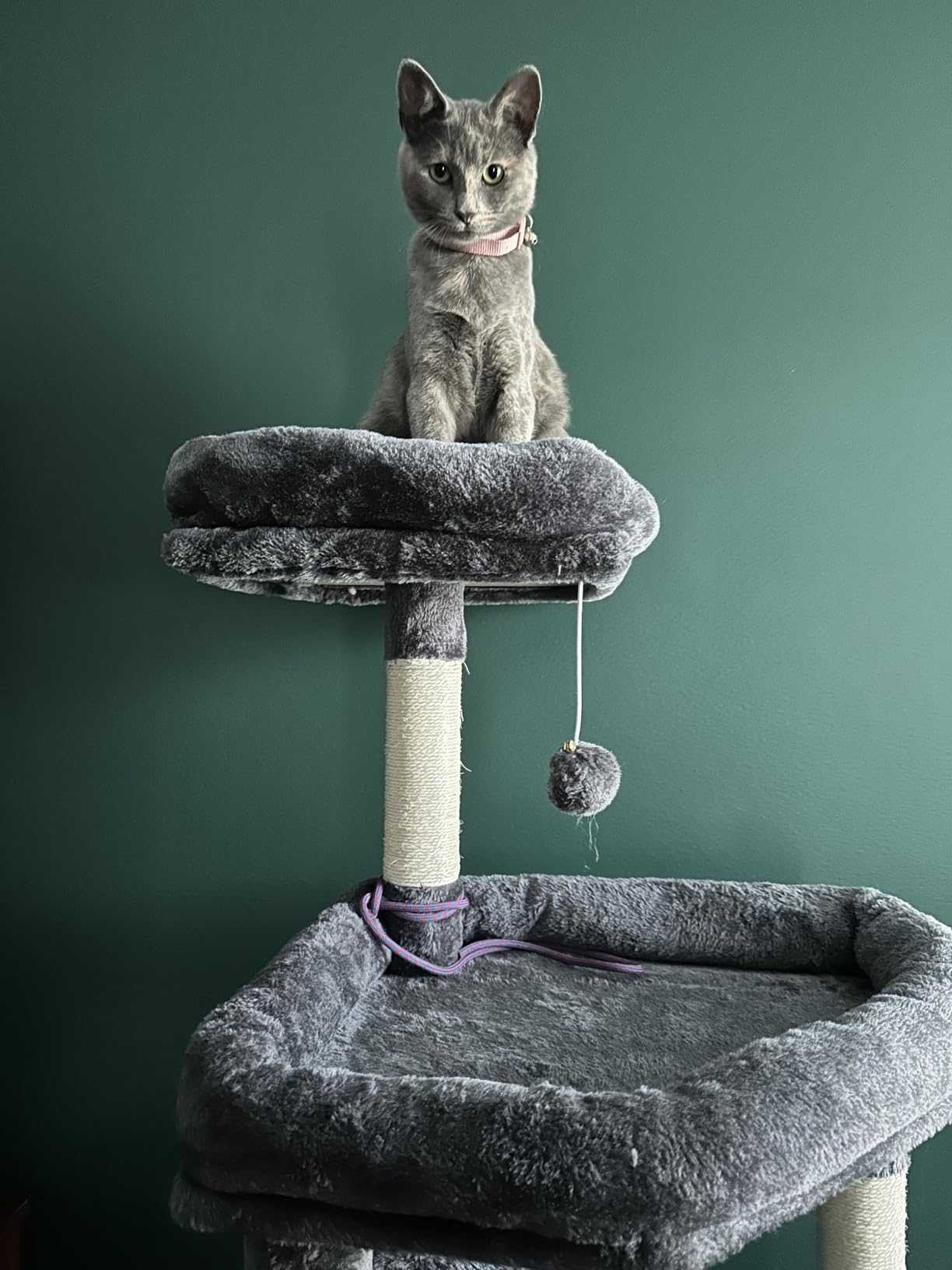 Globlazer Extra Large Platform Cat Tree, 65in Tall Sturdy Cat Tree for Indoor Cats Large Adult, Big Cat Tower for Big Cats with 3 Enlarged Perches, 6 Scratching Posts, Cat Condo, Hammock, S65, Beige customer photo 2