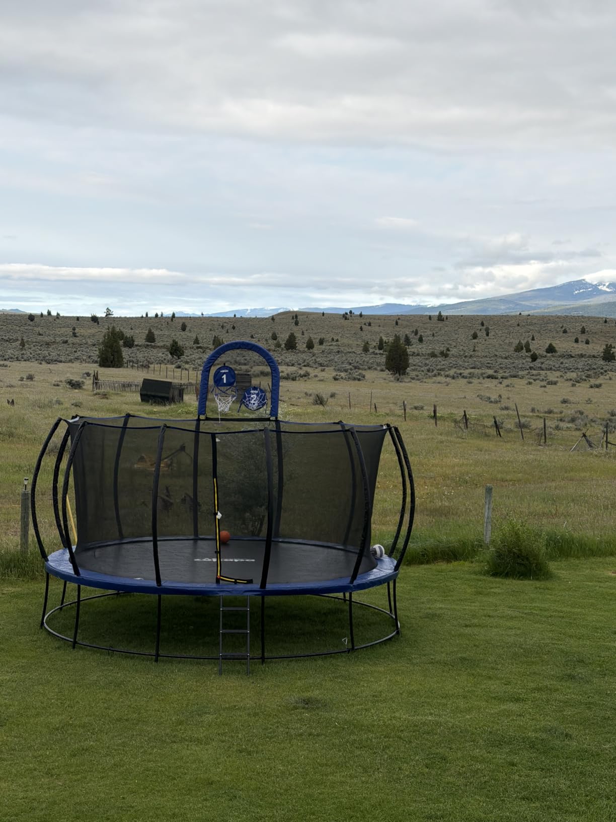 Zupapa 1800LBS Capacity No-Gap Design Trampoline with Safety Enclosure Net and Non-Slip Ladder (12FT-16FT) customer photo 1