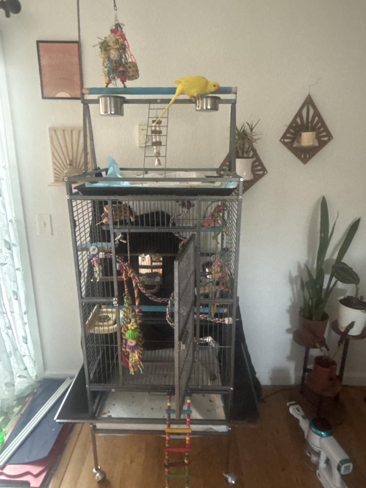 VINGLI 83 Inch Bird Cage with Play Top, Large Wrought Iron Bird Cage with Wheels, Rolling Parakeet Cage with Removable Tray for Cockatiels Lovebird Finches Canaries customer photo 1