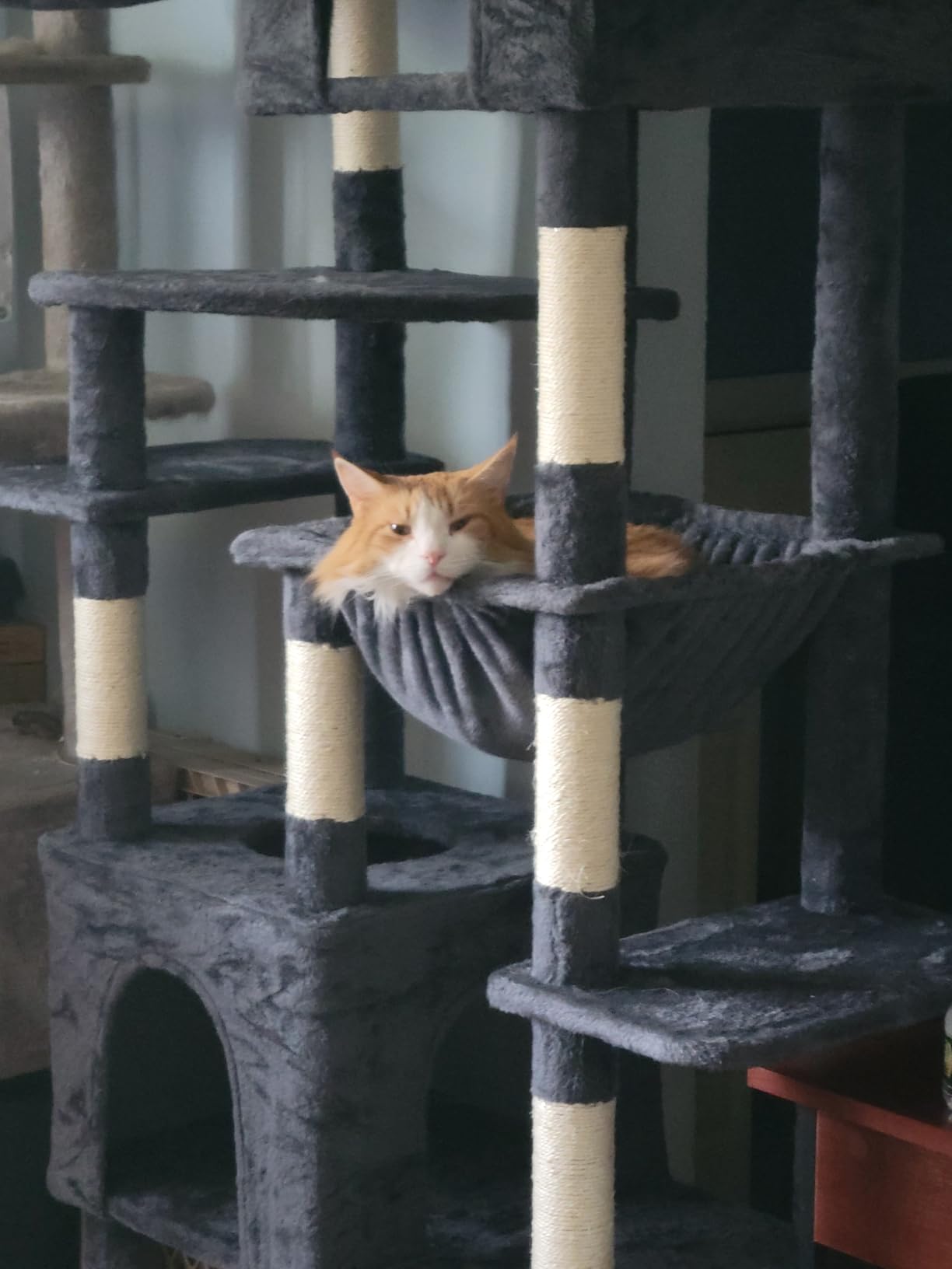 Heybly Cat Tree, 76-Inch Tall Heavy Duty Cat Tower for Big Cats with Extra Wide Baseboard, Multi-Level Large Cat Furniture with 2 Condos & 2 Hammocks, 10 Scratching Posts, Smoky Gray HCT039G customer photo 2