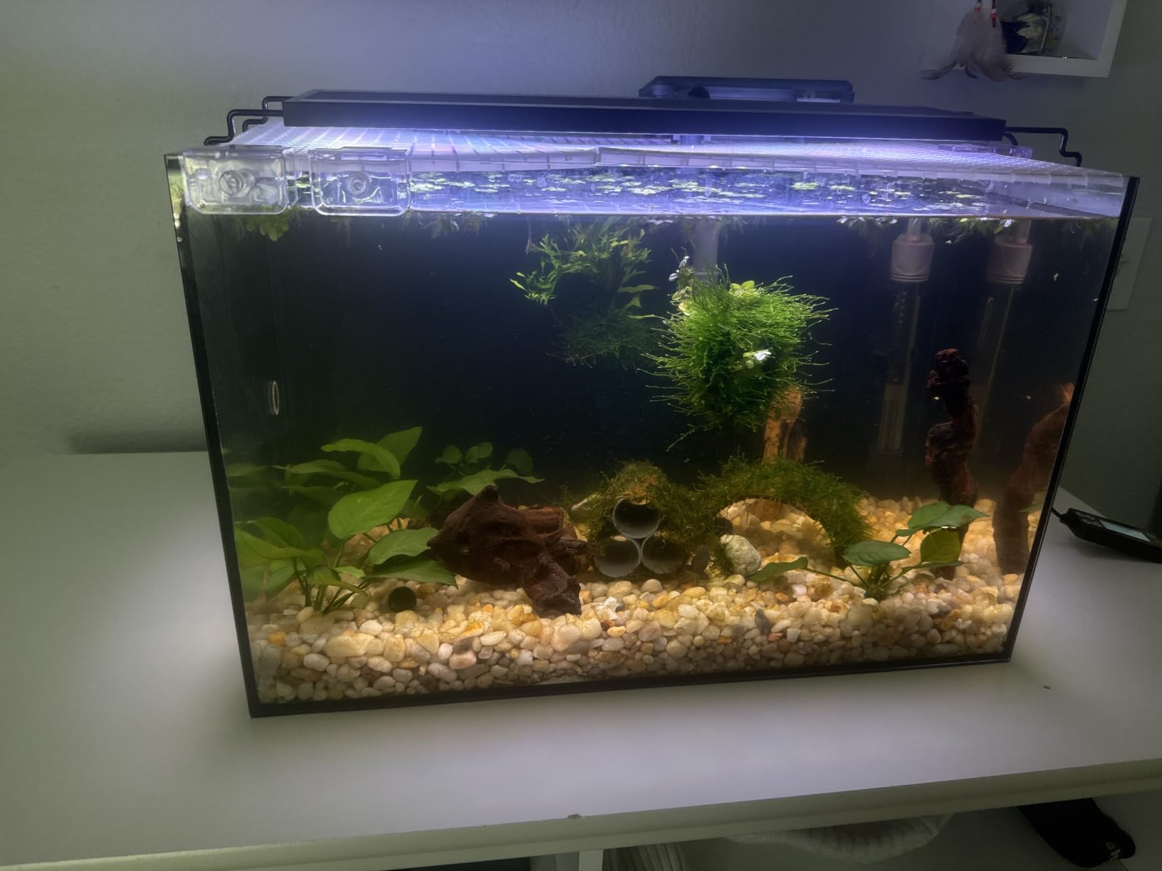 10 Gallon Aquarium Set Glass Fish Tank, Heater Self Cleaning System Filter with Media Bright Light Cleaning Tool, Leak-Proof Clear Rimless Betta Tropical Freshwater Fish customer photo 1